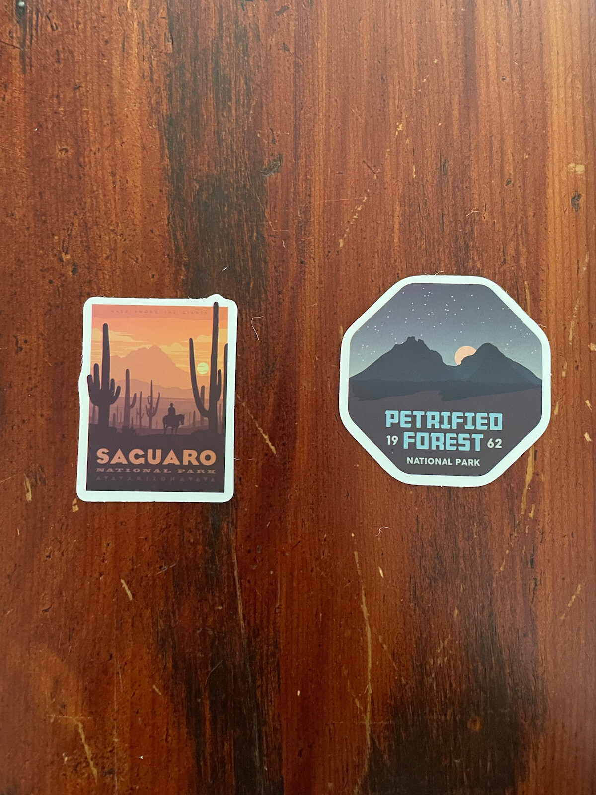 2 Set Saguaro & Petrified National Park Outdoor Wilderness Sticker Decal
