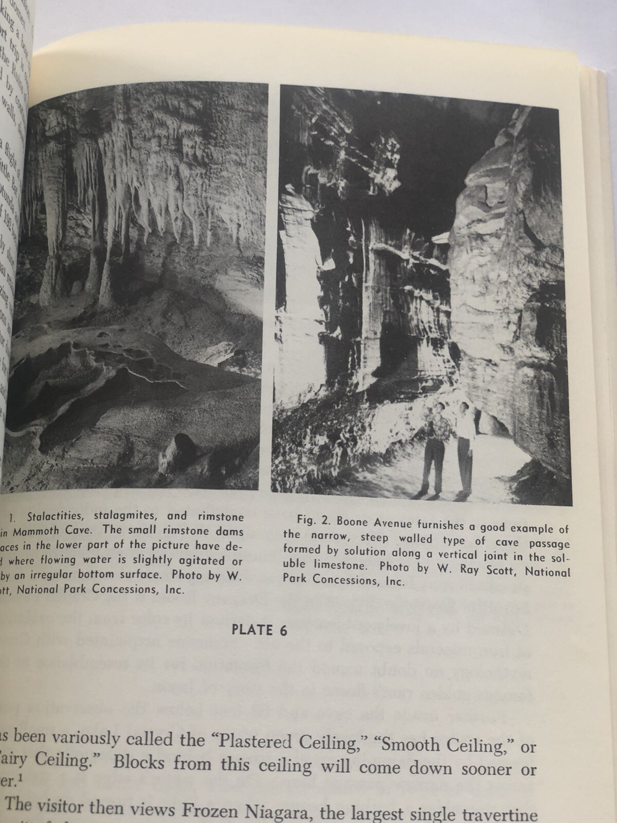 Geology of Mammoth Cave National Park Area Kentucky Geo Survey Booklet 1962