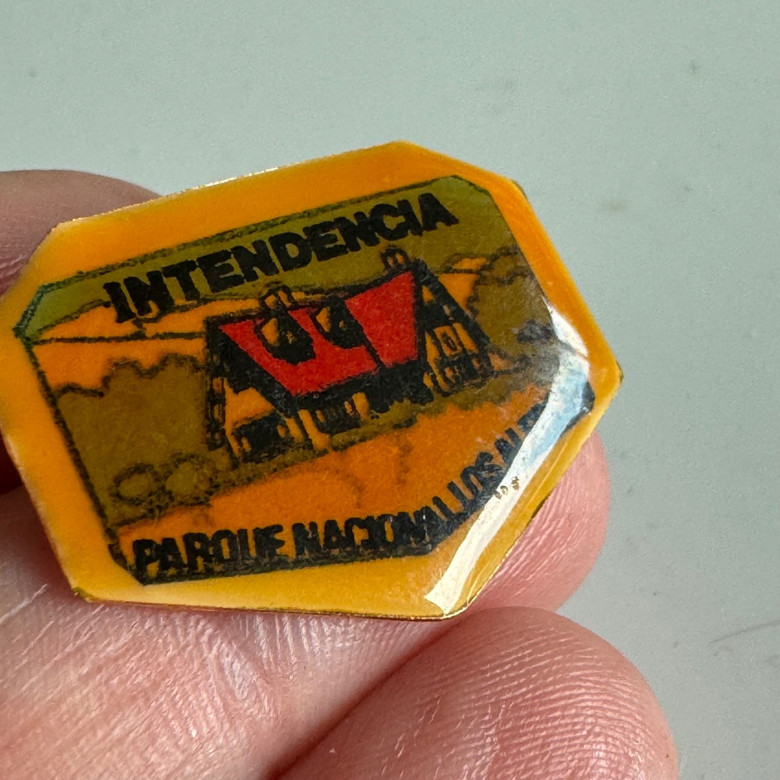 Vintage Intendencia Parque Nacional Los Alerces Argentina National Park Pin