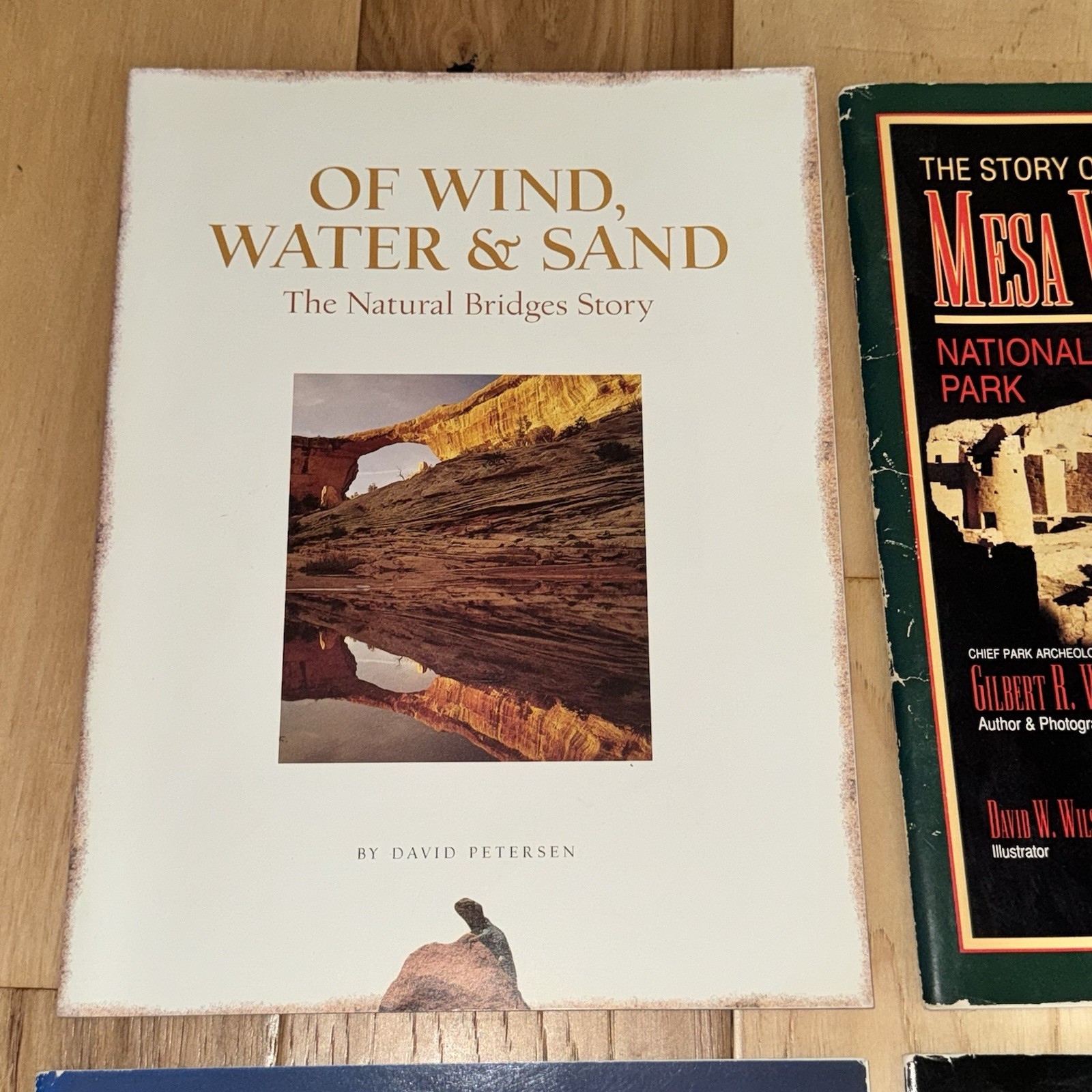 4 National Park Books – Mesa Verde, Arches, Petrified Forest, Natural Bridges