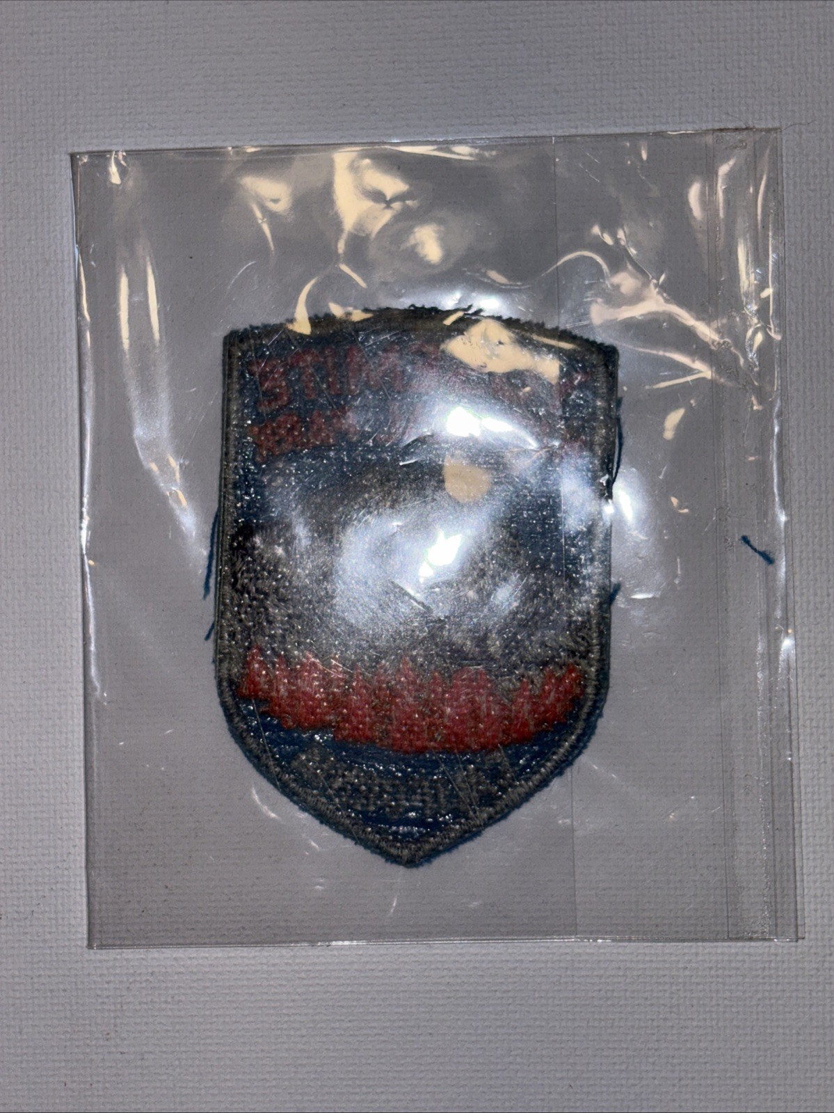 Vintage Yosemite National Park Travel Patch