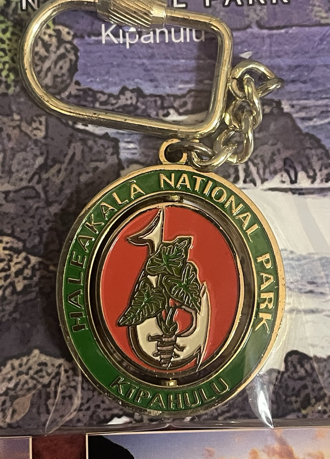 HALEAKALA NATIONAL PARK MAUI HAWAII PIN KEYCHAIN POSTCARDS SOUVENIR LOT RARE