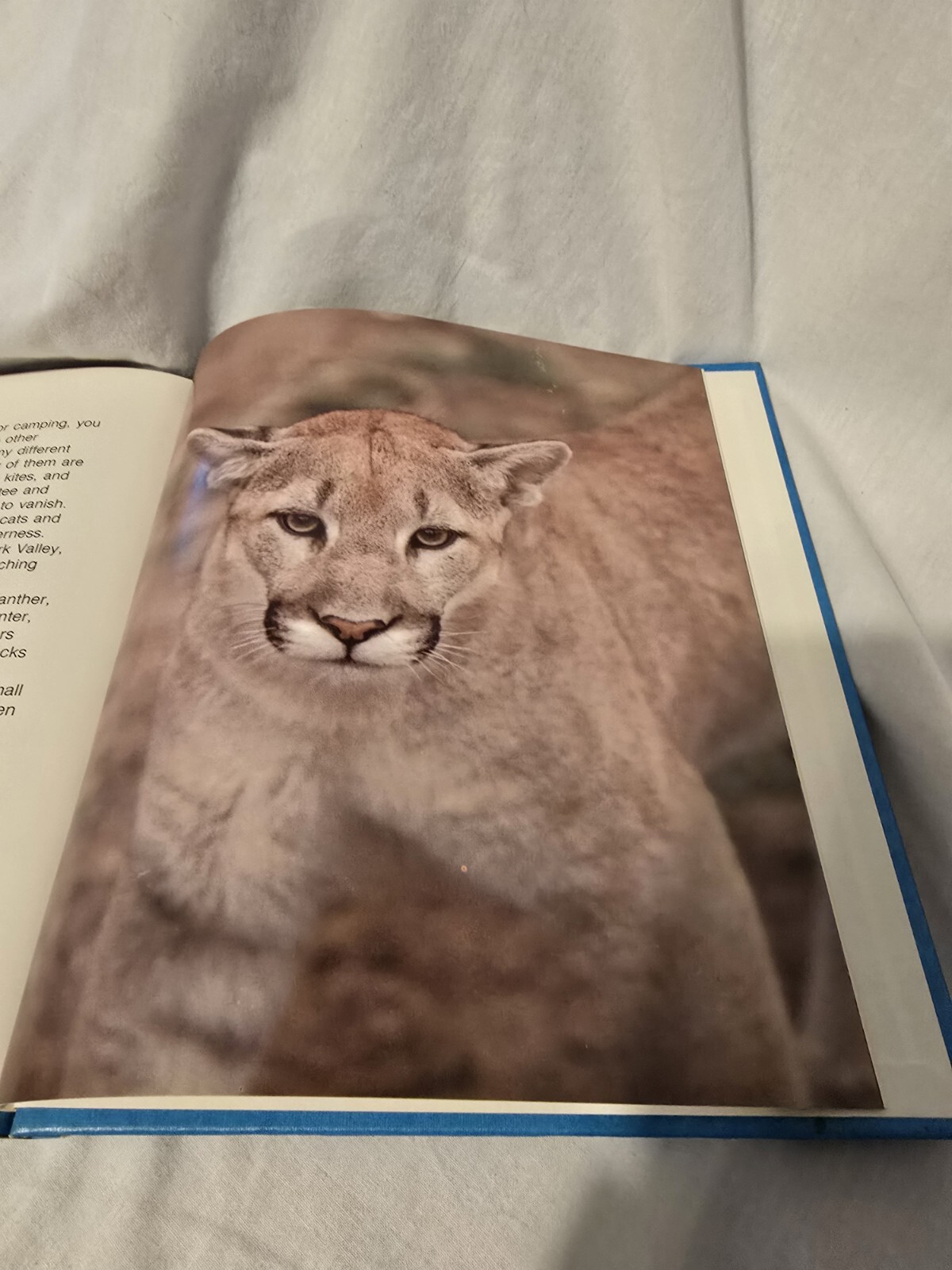 Everglades National Park Book