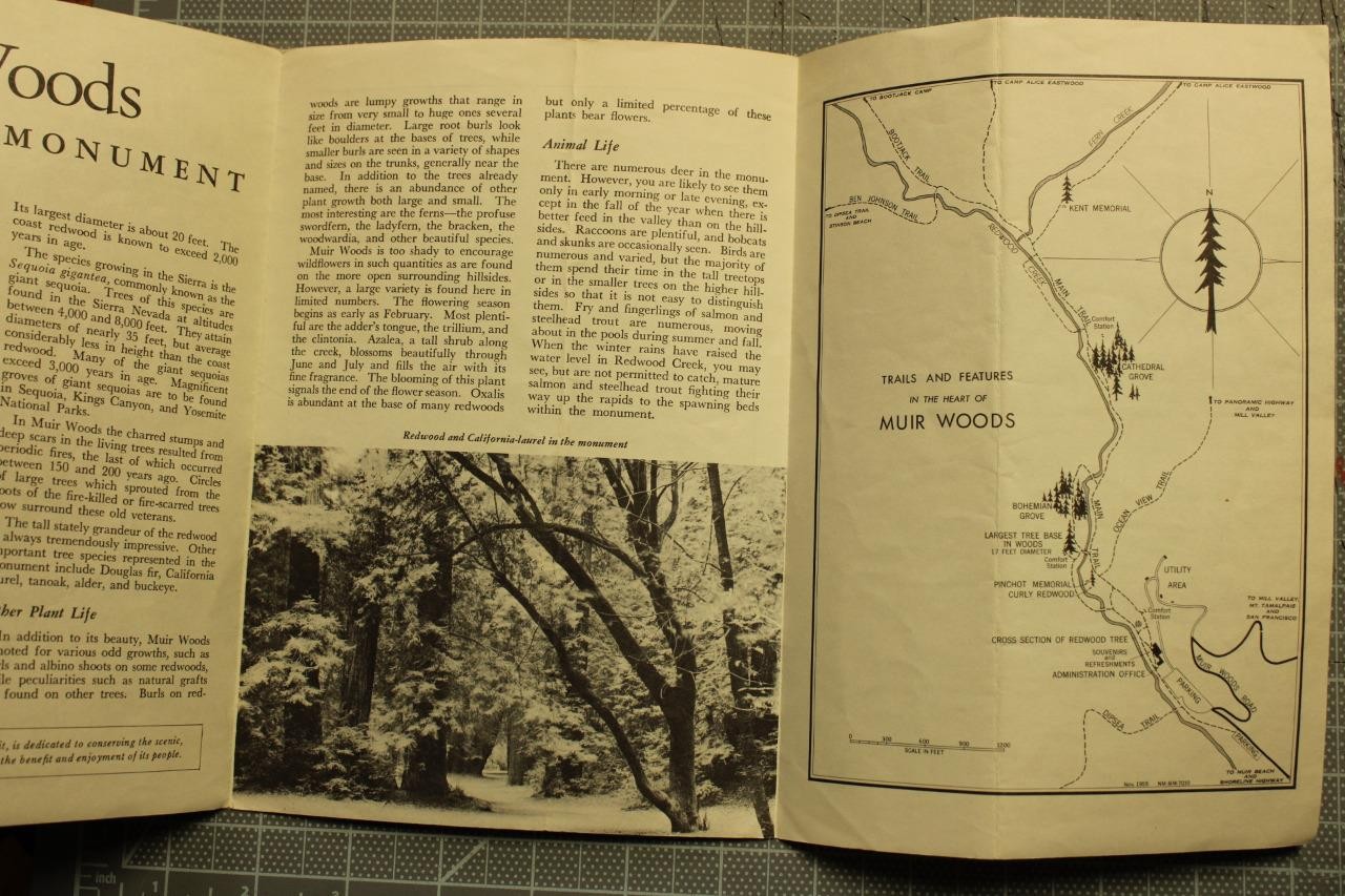 Muir Woods California 1955 3 Fold with Maps & National Monument Information C347