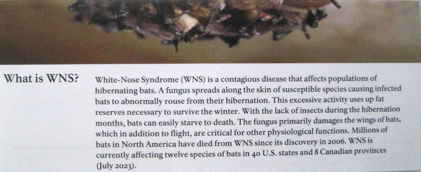Jewel Cave National Monument-White-Nose Syndrome Park Service Unigrid Brochure