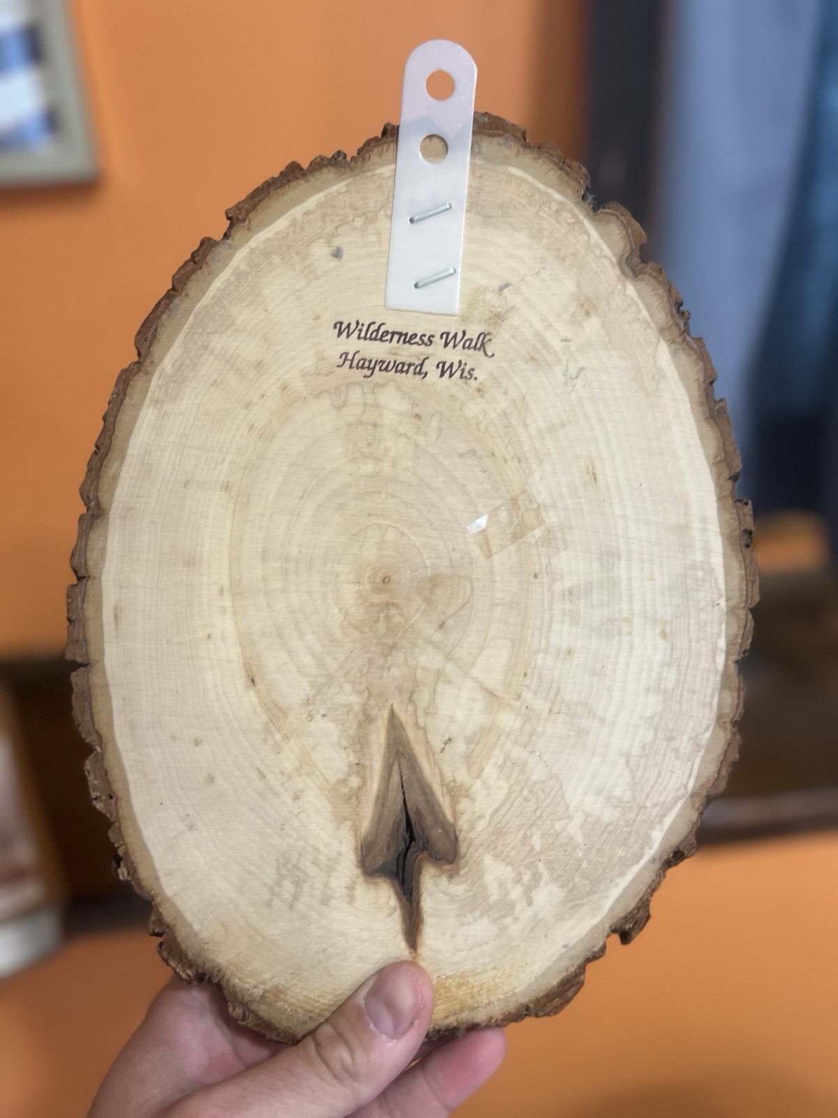 Northwoods Wisconsin Wall Plaque On Tree Wood Slab “Moose” Souvenir