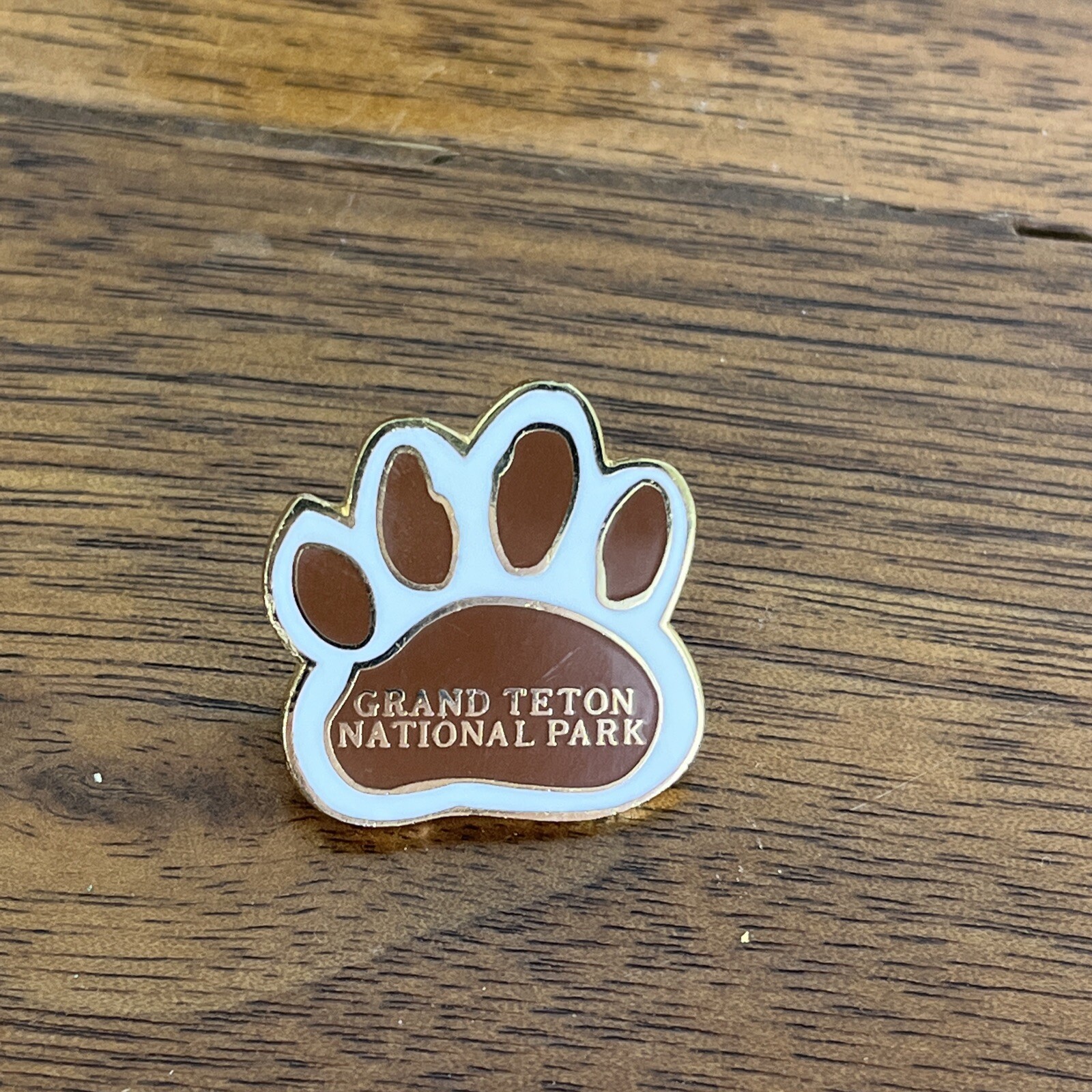 Grand Teton National Park Tourist Travel Souvenir Collector Pin Wyoming Outdoor