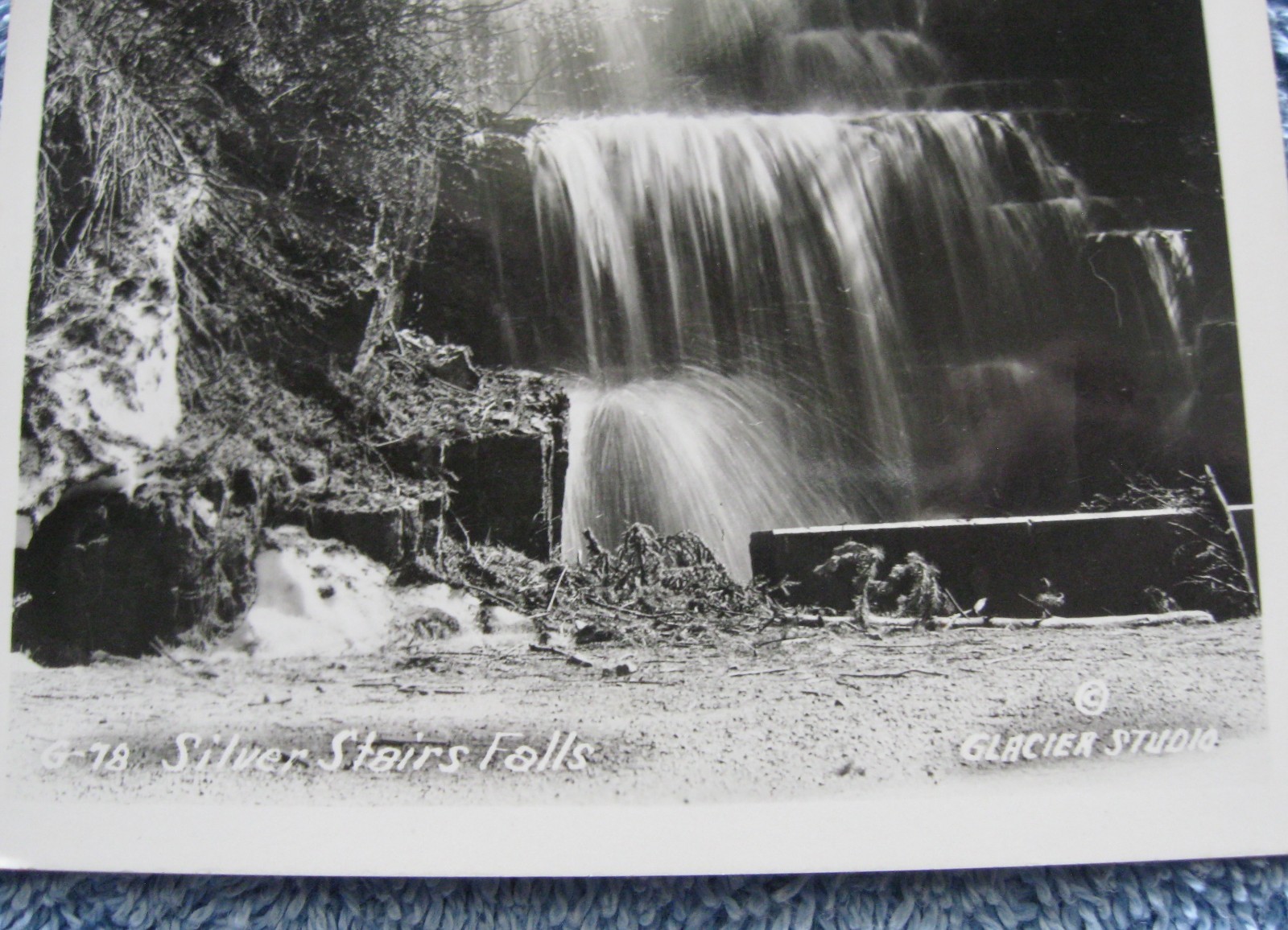 NOS! 3 GLACIER NATIONAL PARK MONTANA Postcards; Unused; Unposted Vintage