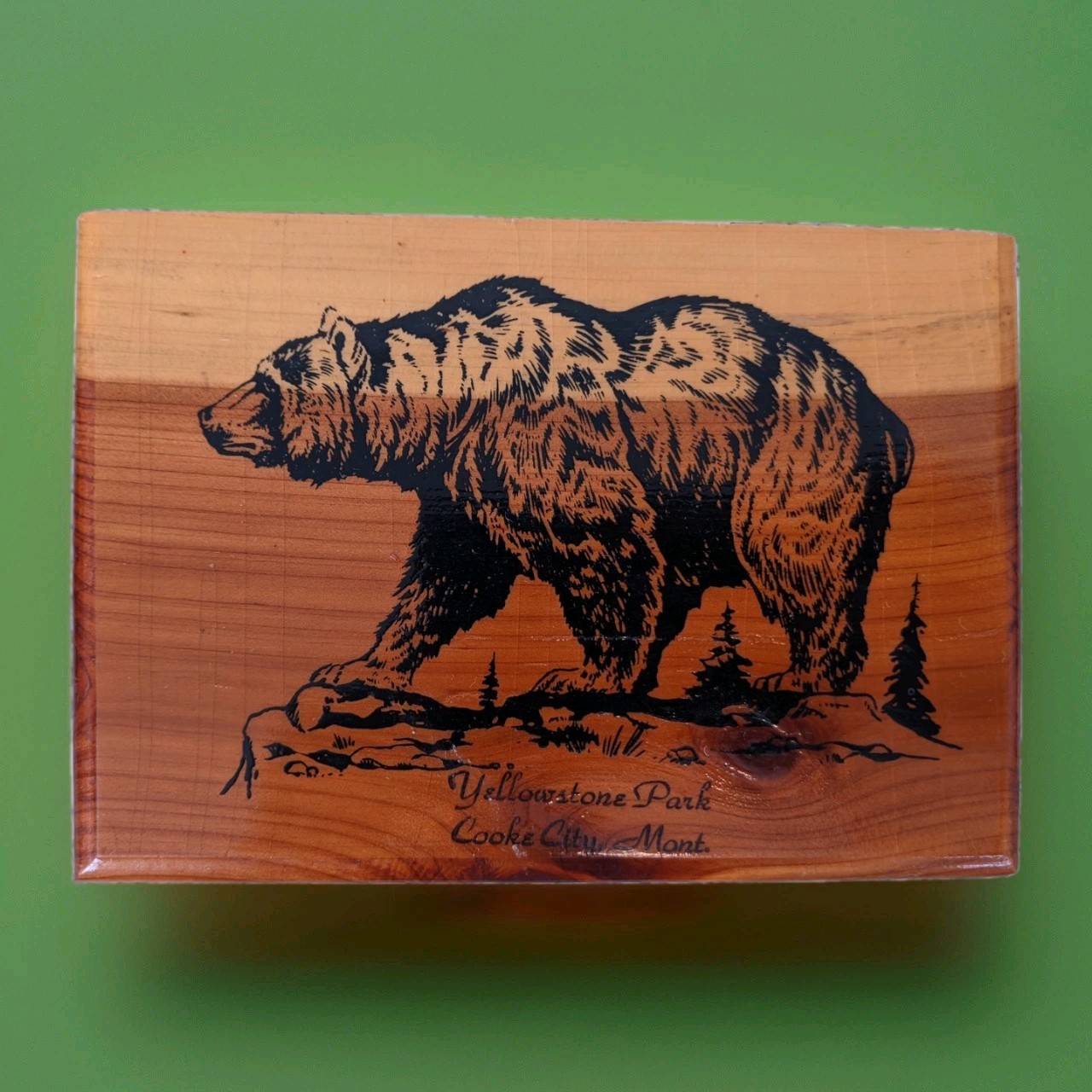 Vtg Bear Yellowstone Nat’l Park Cedar Chest Souvenir Trinket Box Cooke City MT