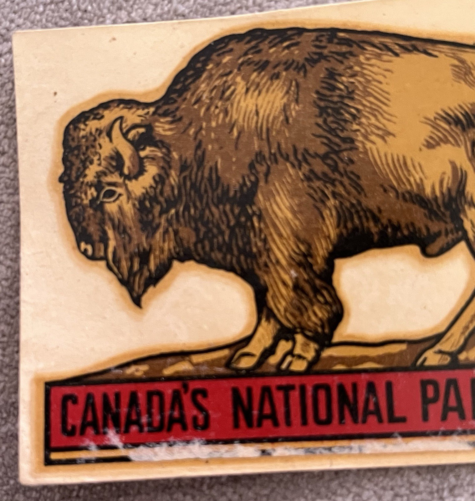 1948 Canada’s National Parks Bison Buffalo Car Window Decal Original Transfer