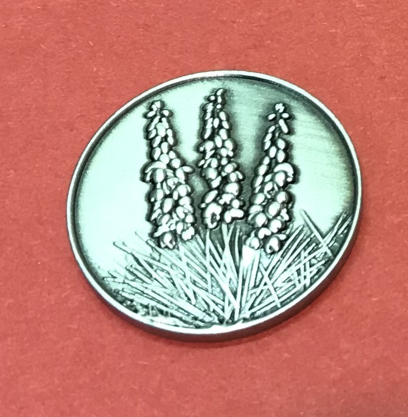 Yucca, New Mexico State Flower Token