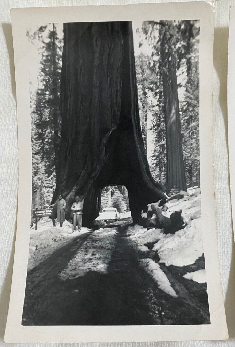 Lot of 8 Vintage Yosemite National Park California Photos 1940s – 1950s Original