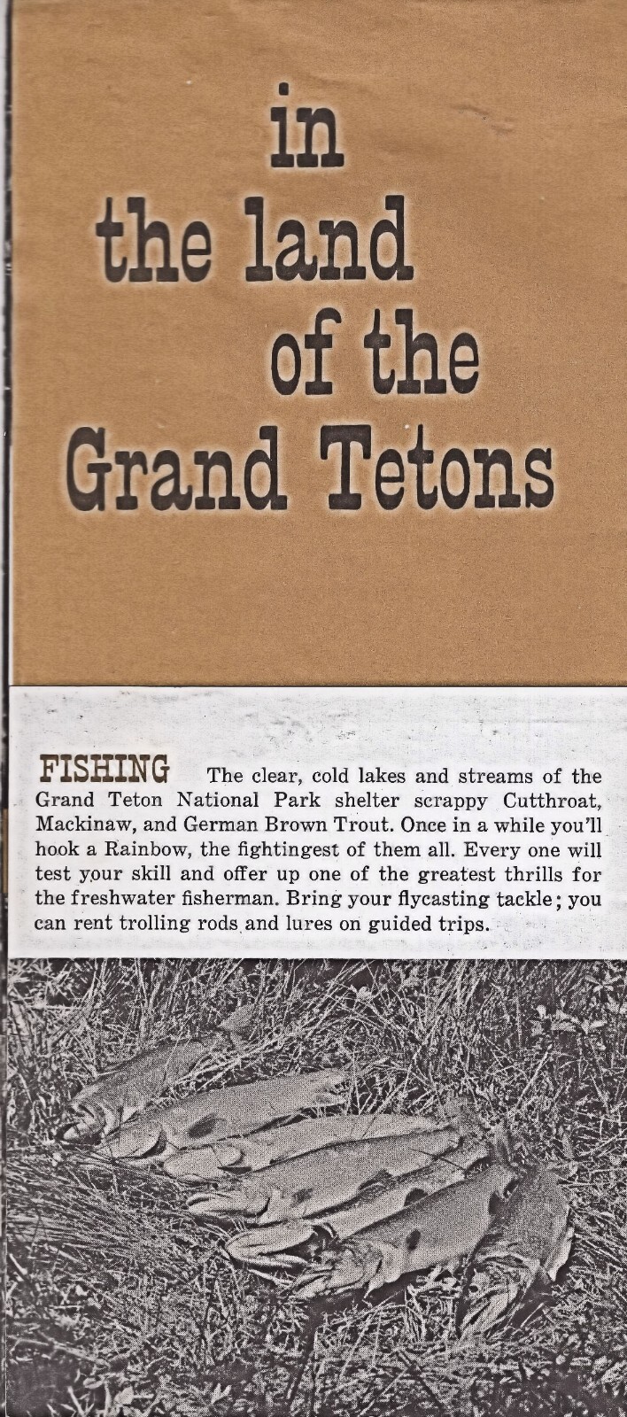 1963 Grand Teton National Park Rates & Lodging Pamphlet
