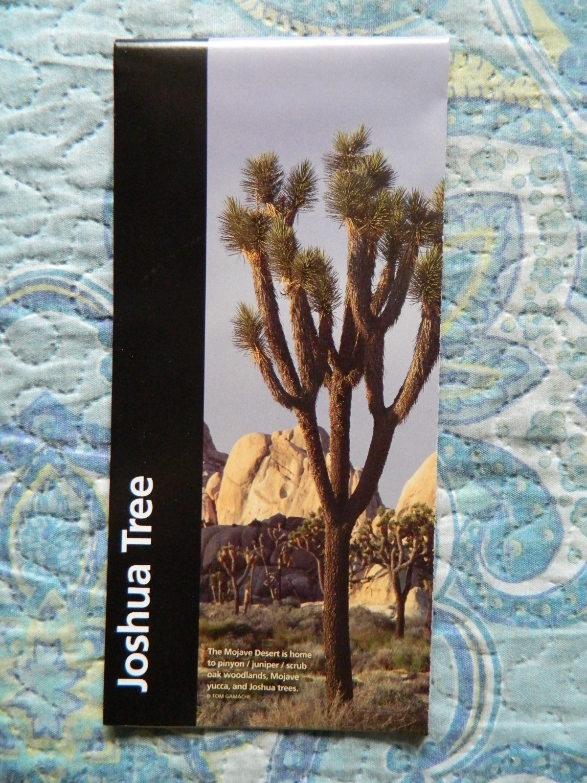 2024 Joshua Tree National Park Guide Map