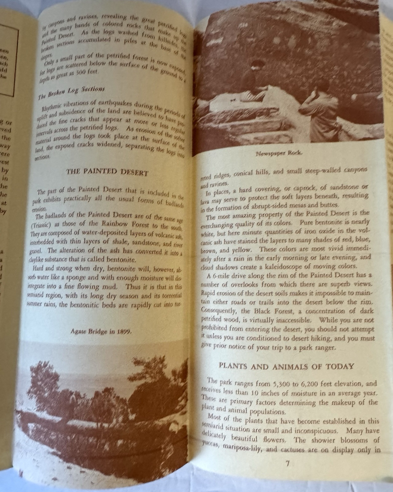 Vintage 1963 The Petrified Forrest National Park Arizona Travel Brochure