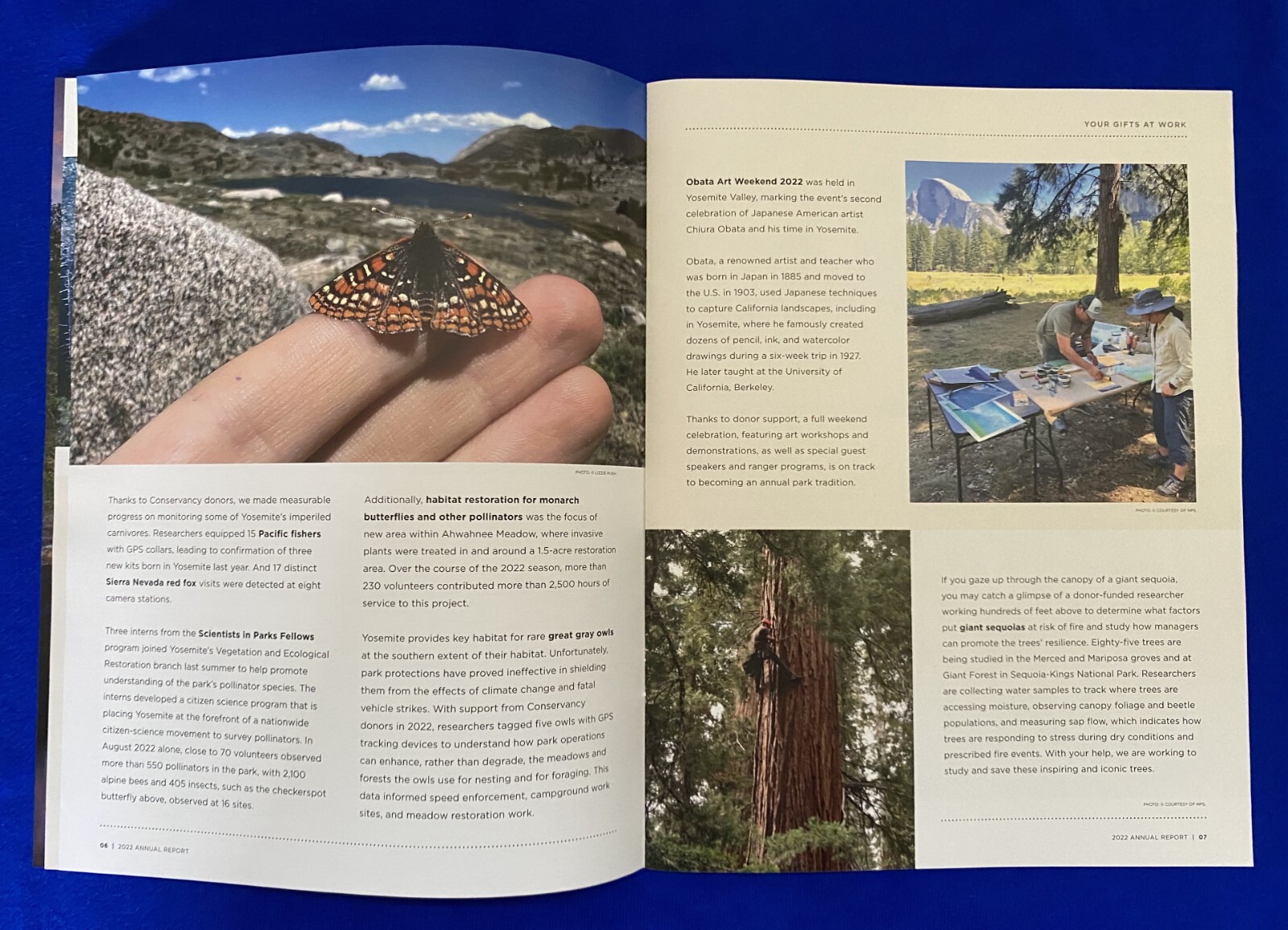 2022 Yosemite Conservancy Annual Report–Providing for Yosemite’s Future