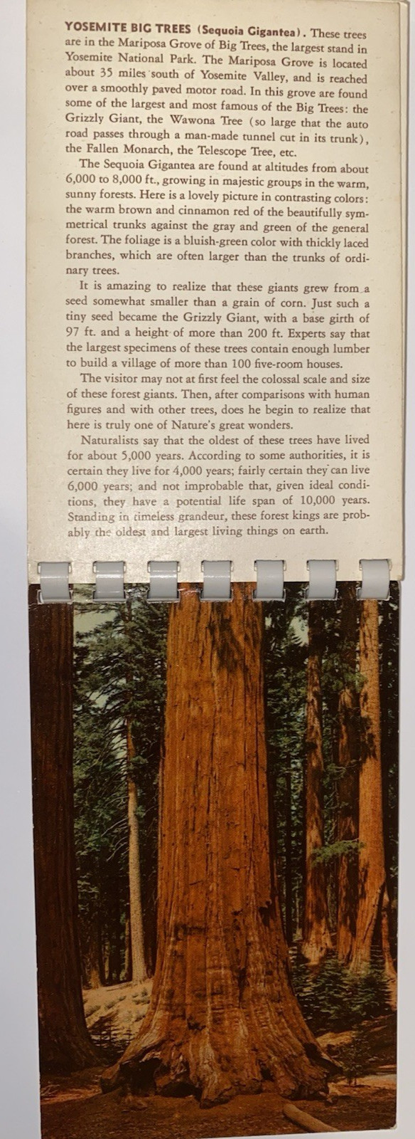 Vintage 1951 Yosemite Pocket Picture Guide Best’s Studio UNPOSTED Ansel Adams