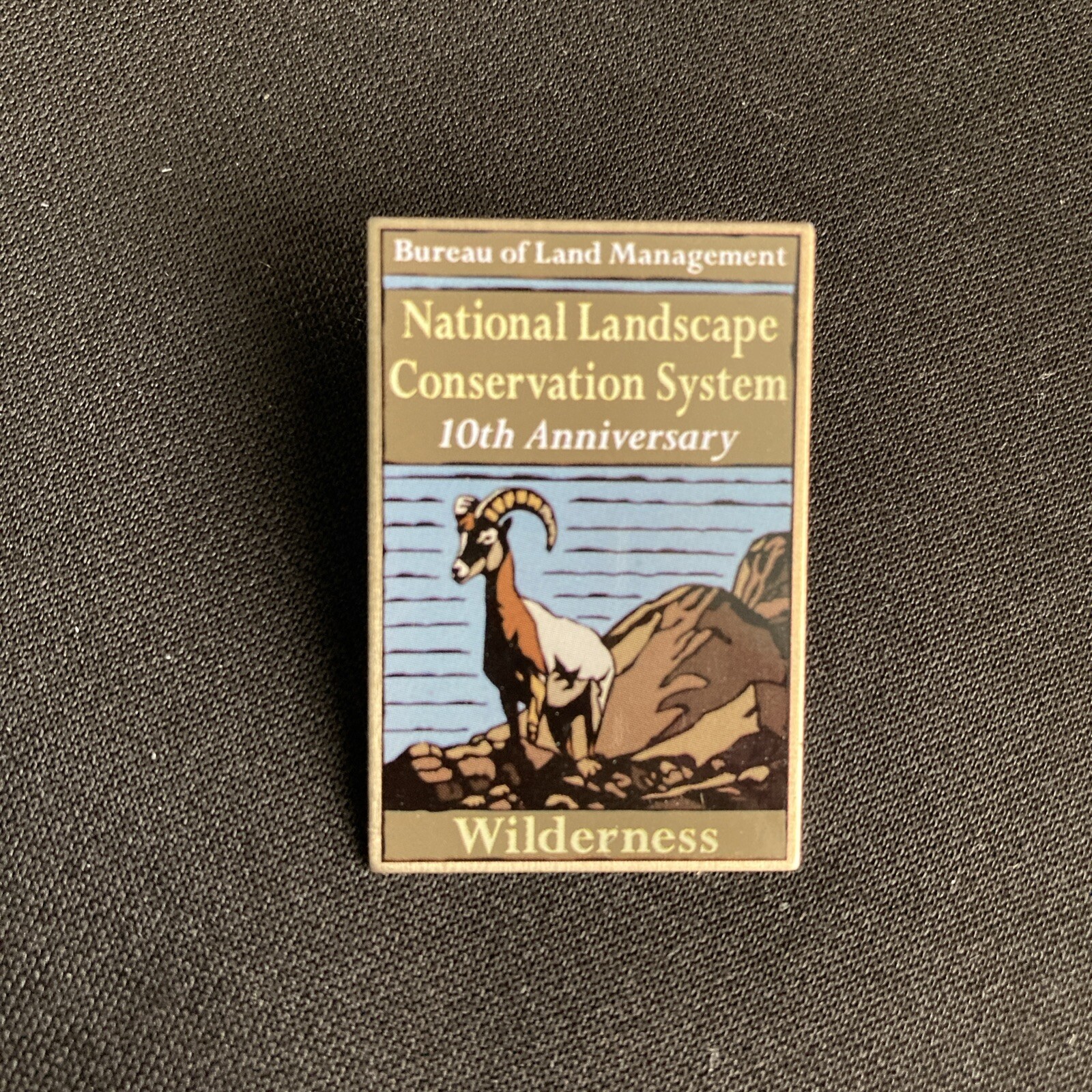 National Landscape Conservation System Lapel Pin Wilderness 10th Anniversary BLM