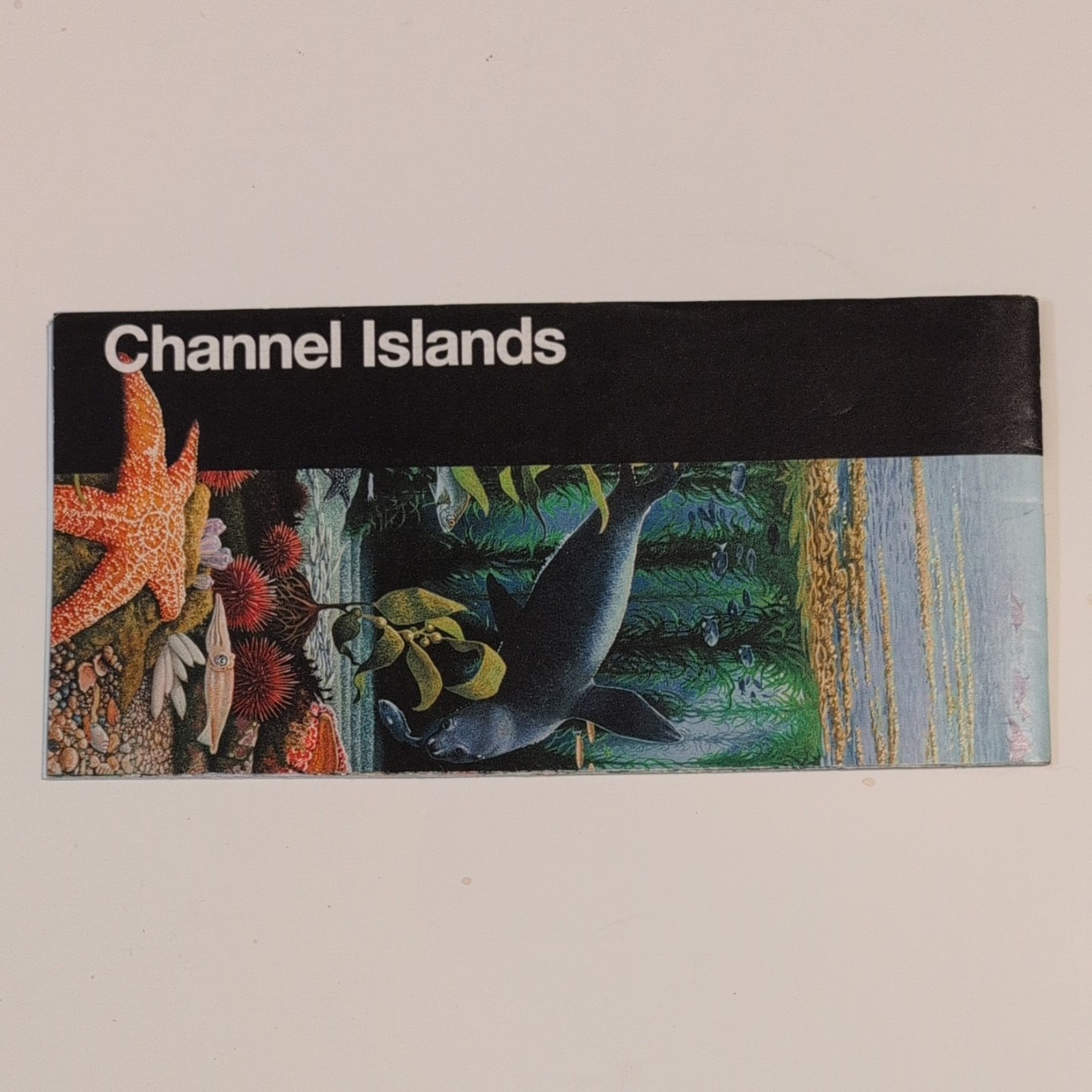 Channel Islands National Park Service NPS Unigrid Brochure GPO 2007 Reprint 2003