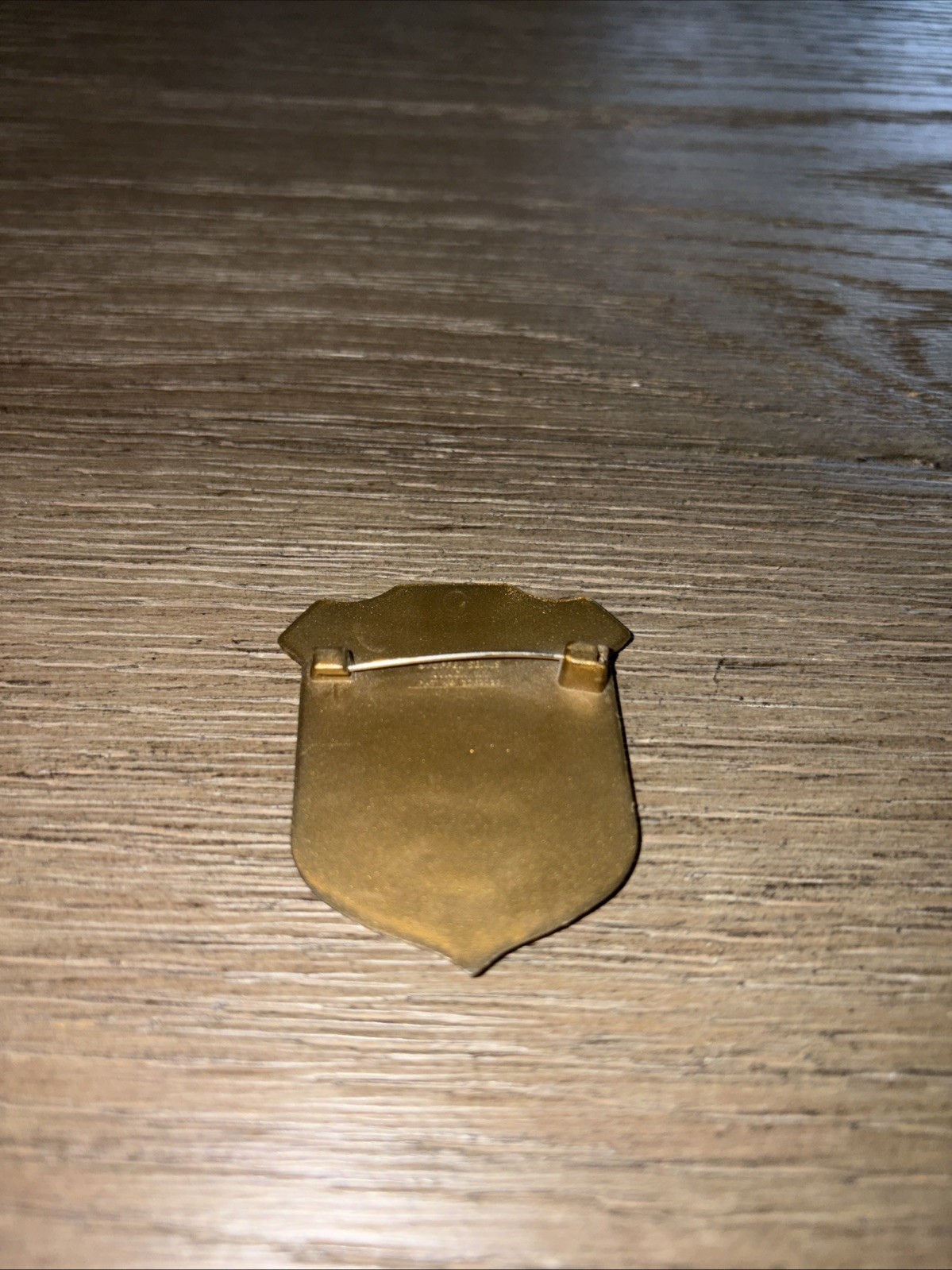 NPS JUNIOR PARK RANGER PETRIFIED FOREST NATIONAL PARK BADGE PLASTIC PIN/ NPS