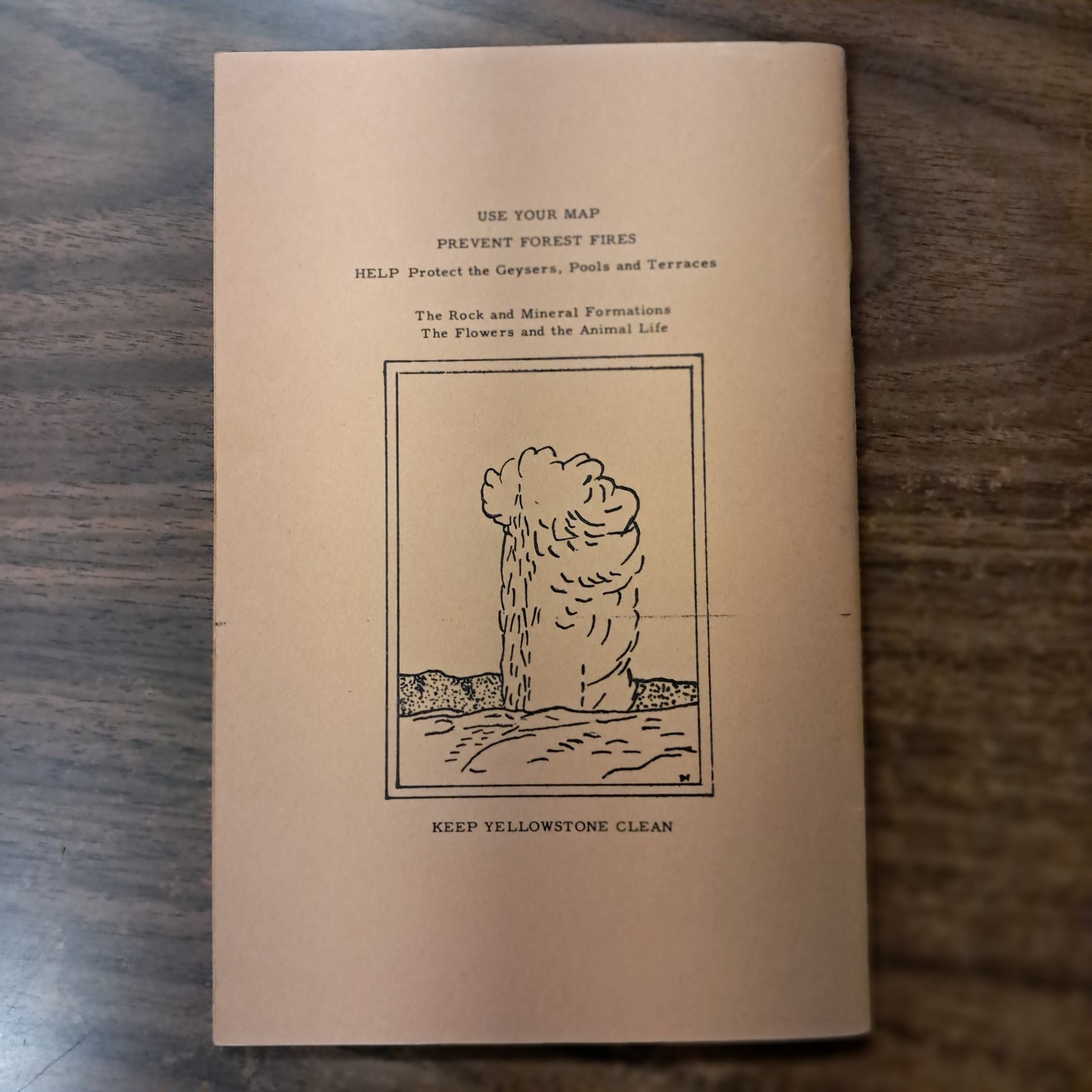 1954 Wild Animals Of Yellowstone National Park From Library Of Dorothy Hanson