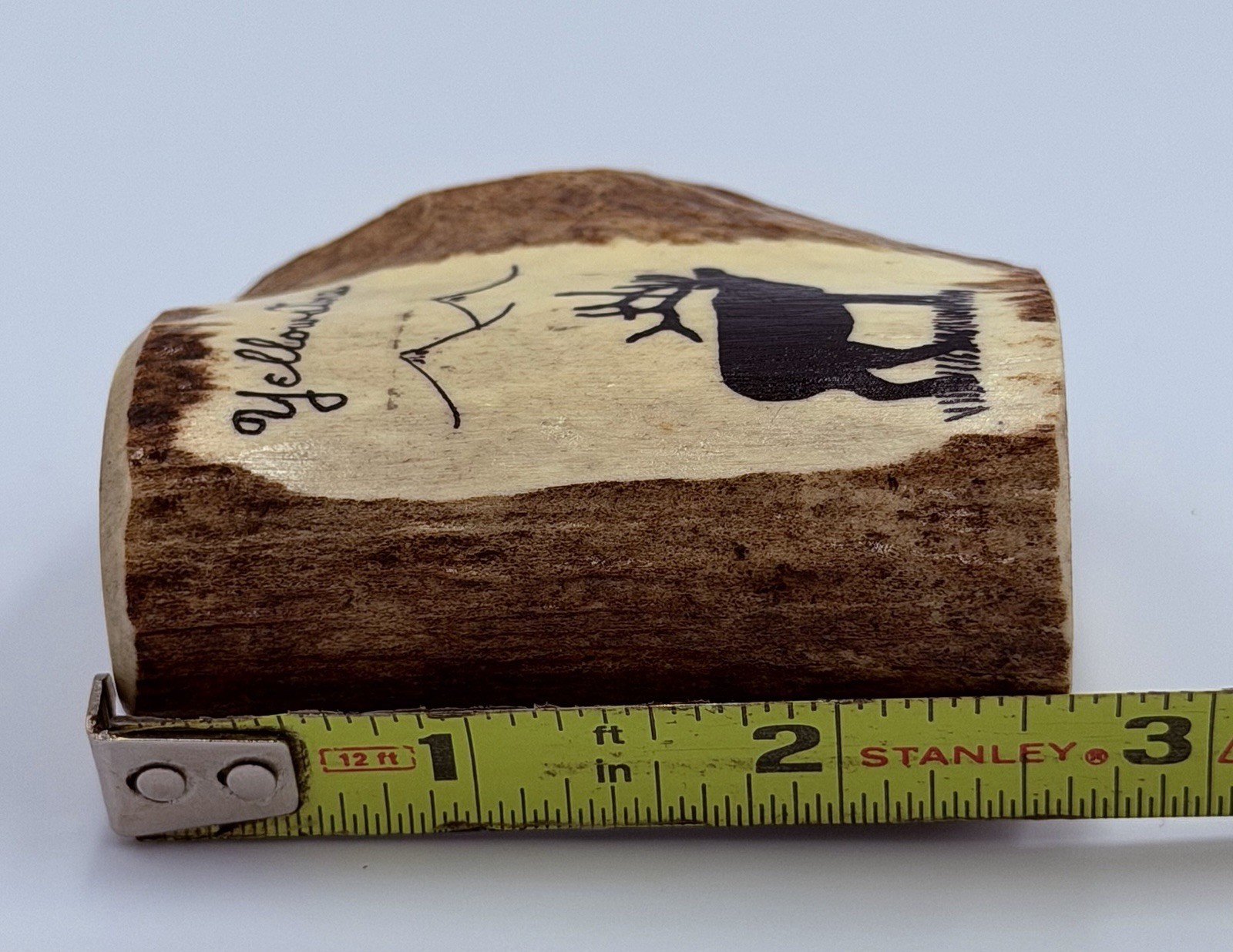 Vintage Yellowstone National Park Elk Antler Souvenir Pen Holder Small 2 1/2″