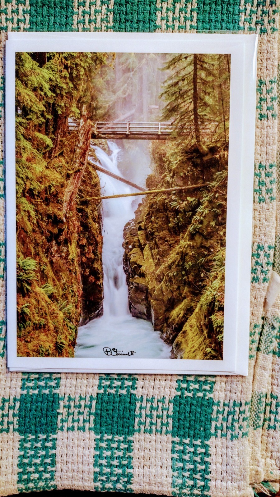 8 X 10 GREETING CARD “SOL DUC FALLS” OLYMPIC NATIONAL PARK WASHINGTON PACIFIC