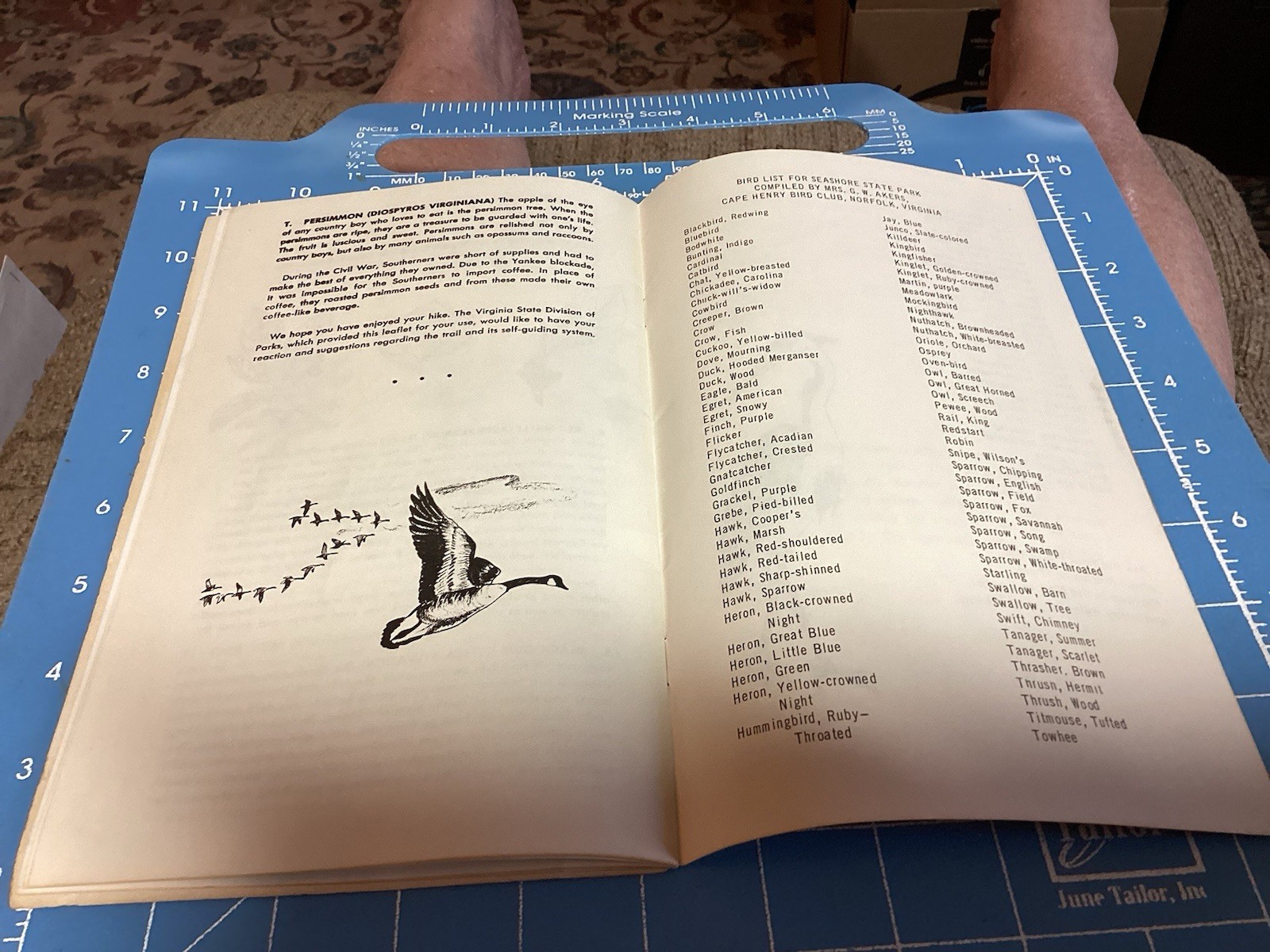 1969 Bald Cypress Nature Trail Brochure And Map