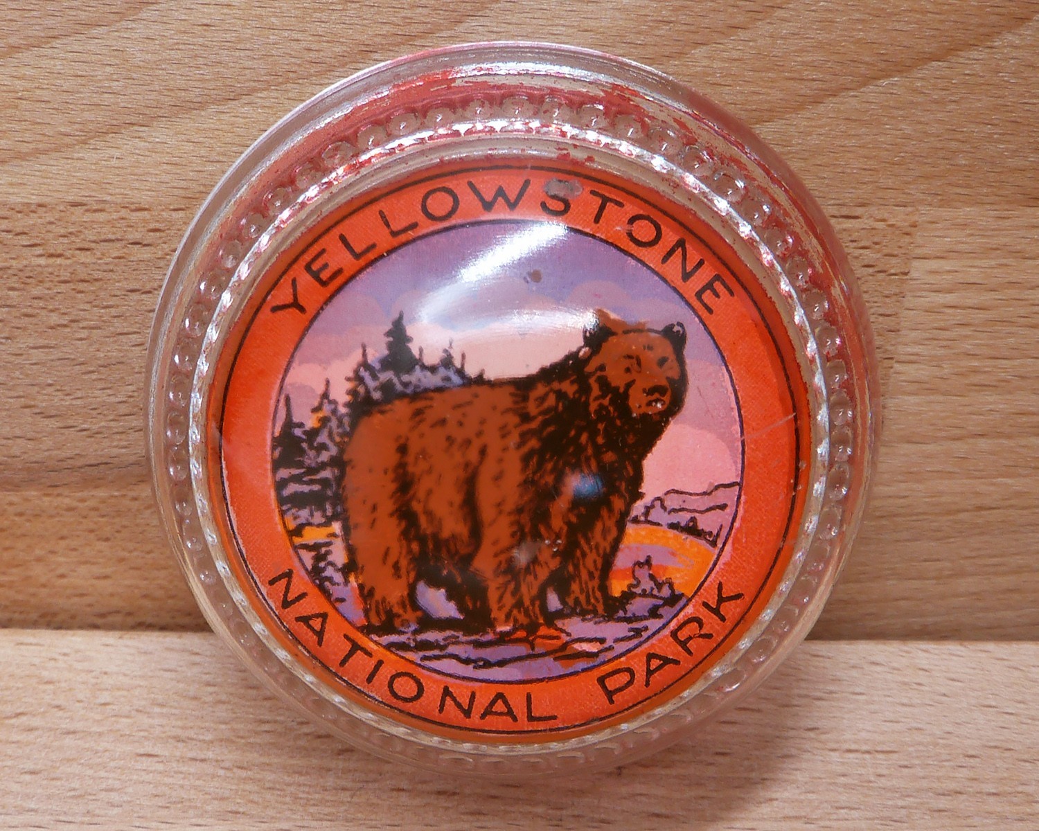 Vintage Round Glass Souvenir Paperweight Yellowstone National Park -Grizzly Bear