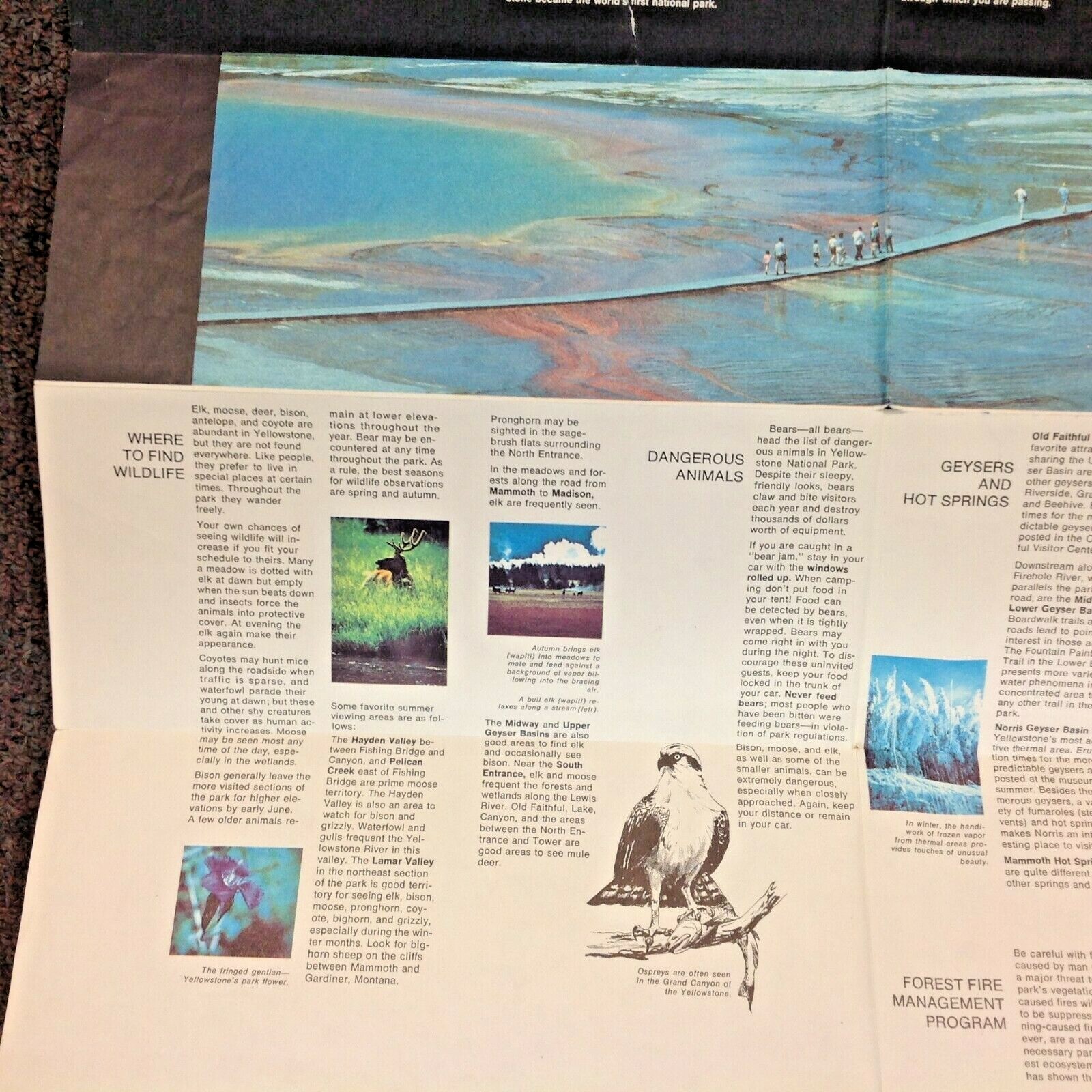 Vintage 1975 US Dept Interior Yellowstone National Park