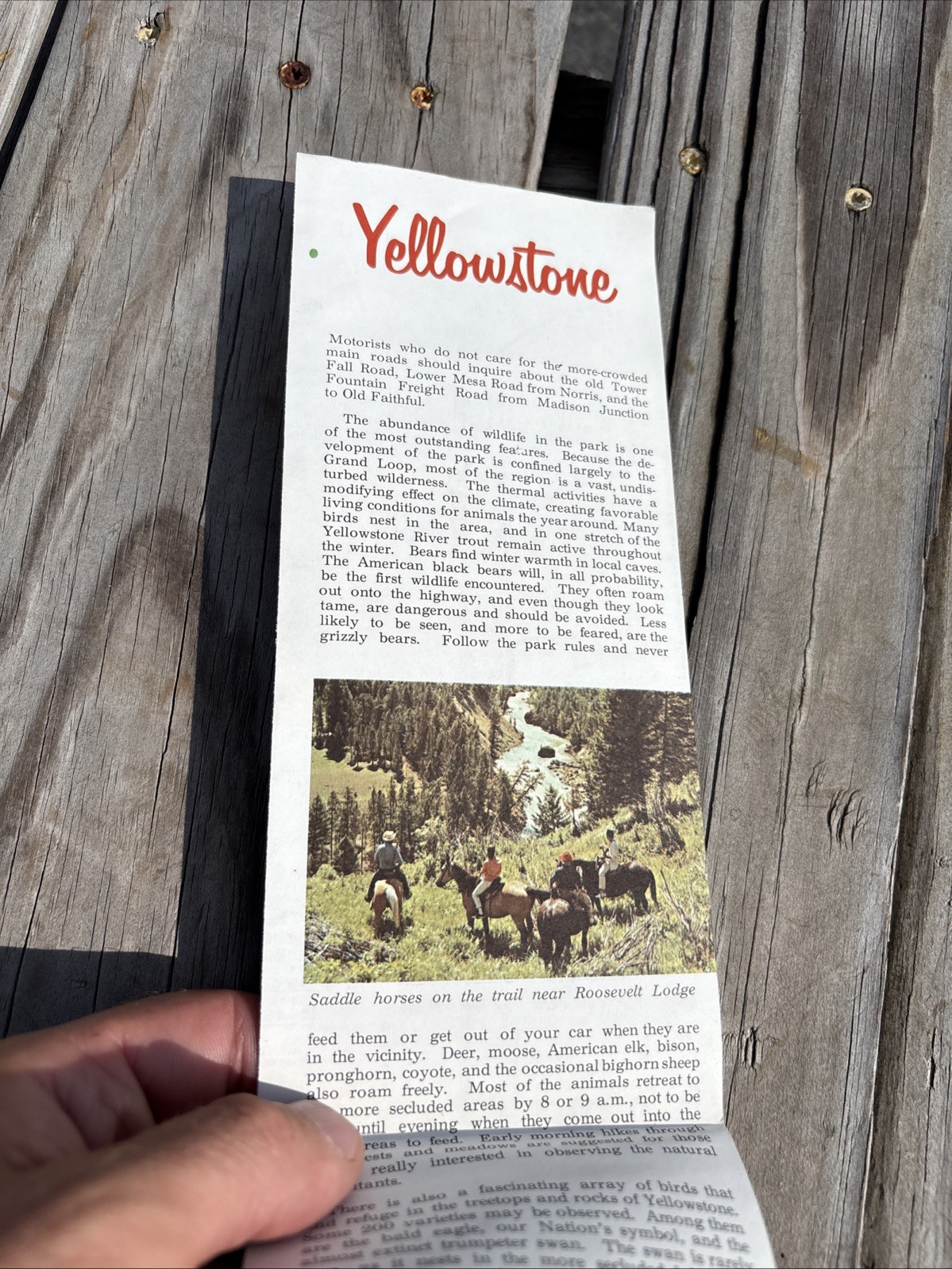 1966 Edition Tourist Map of Yellowstone National Park Conoco Road Map