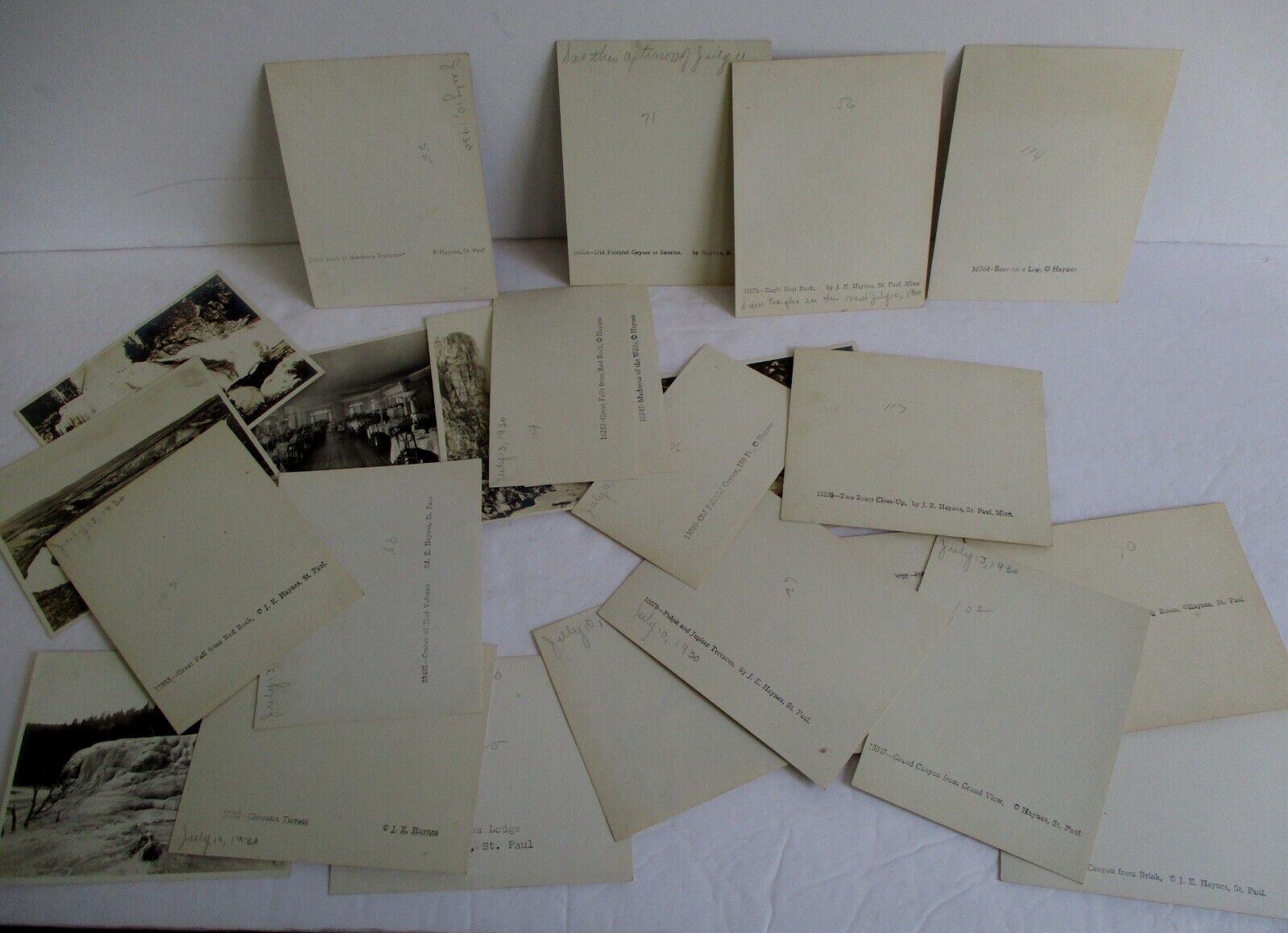 1930 Lot of 24 Haynes Photo Souvenir Cards, Yellowstone National Park