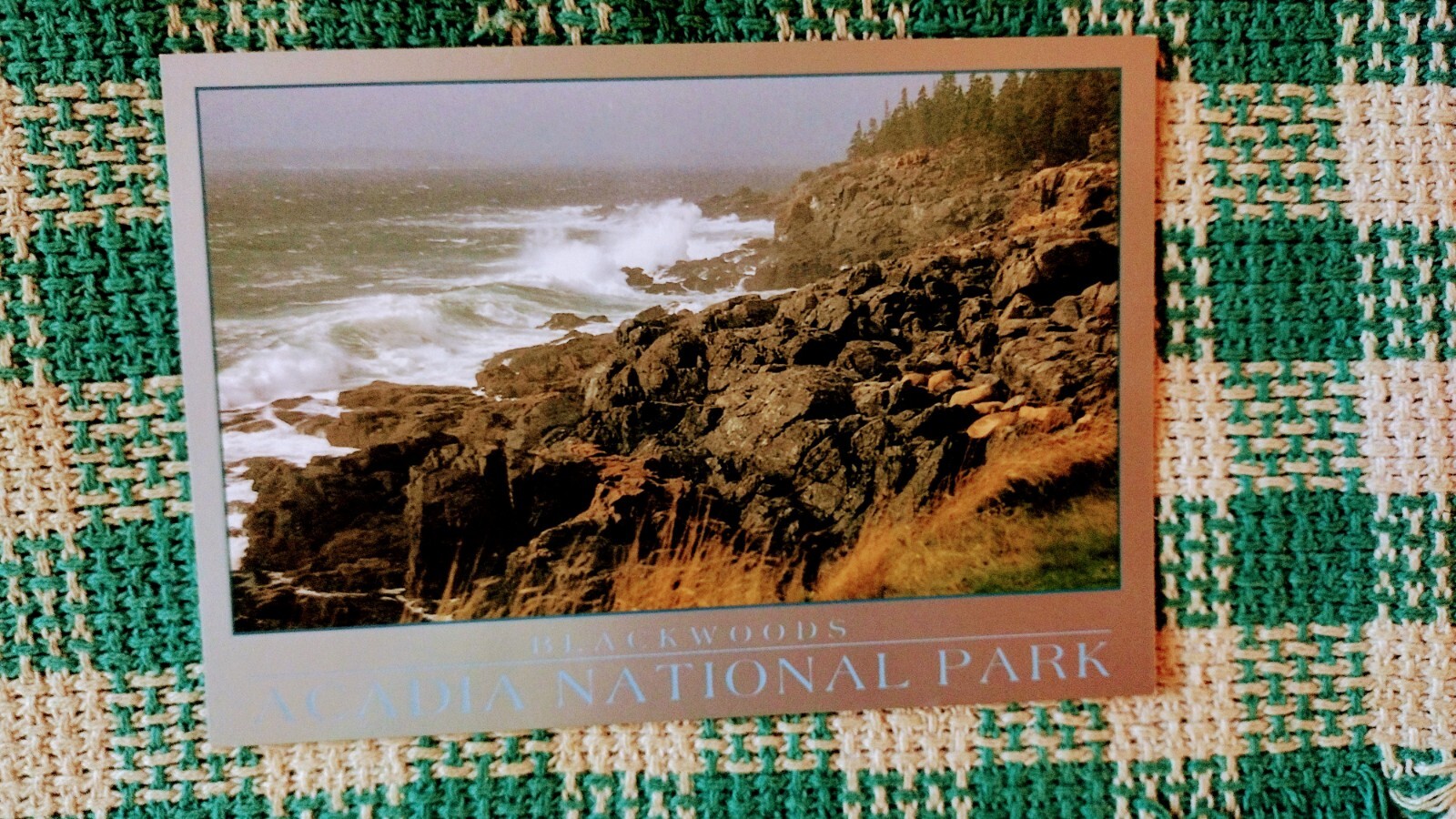 POST CARD BEAUTIFUL BLACK WOODS ACADIA NATIONAL PARK MAINE.