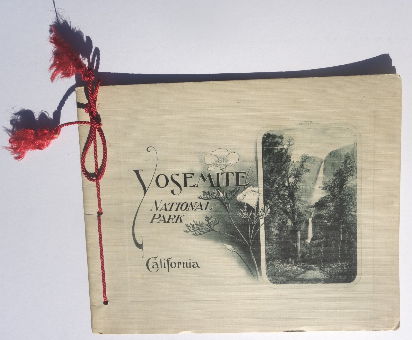 Vintage “Yosemite National Park” Souvenir Booklet Photo-Gravures c. 1910s-1920s