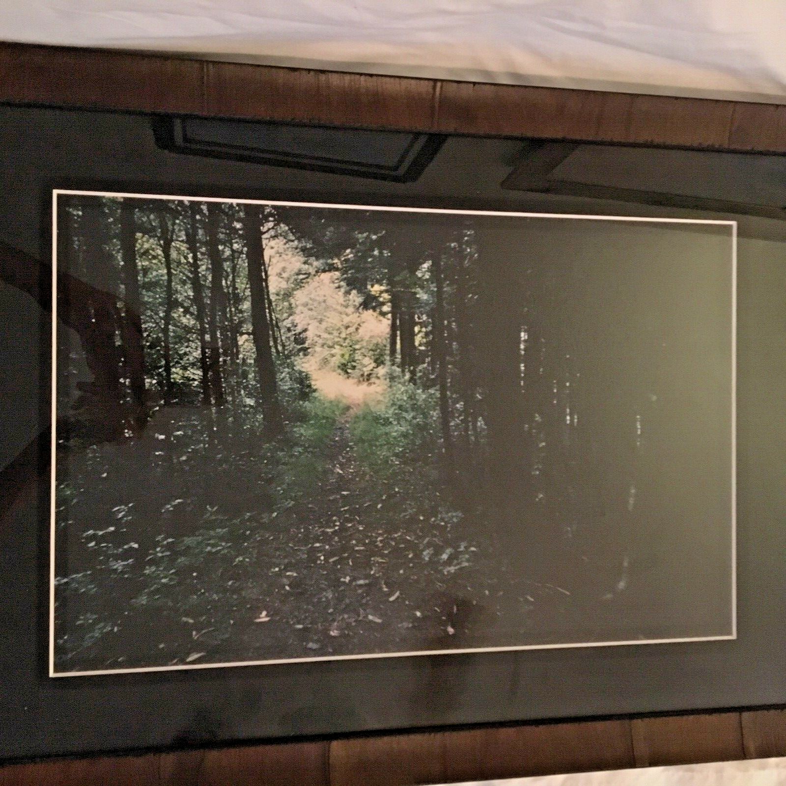 The Great Smokey Mountains Natural Original Photos & photographer w/notes