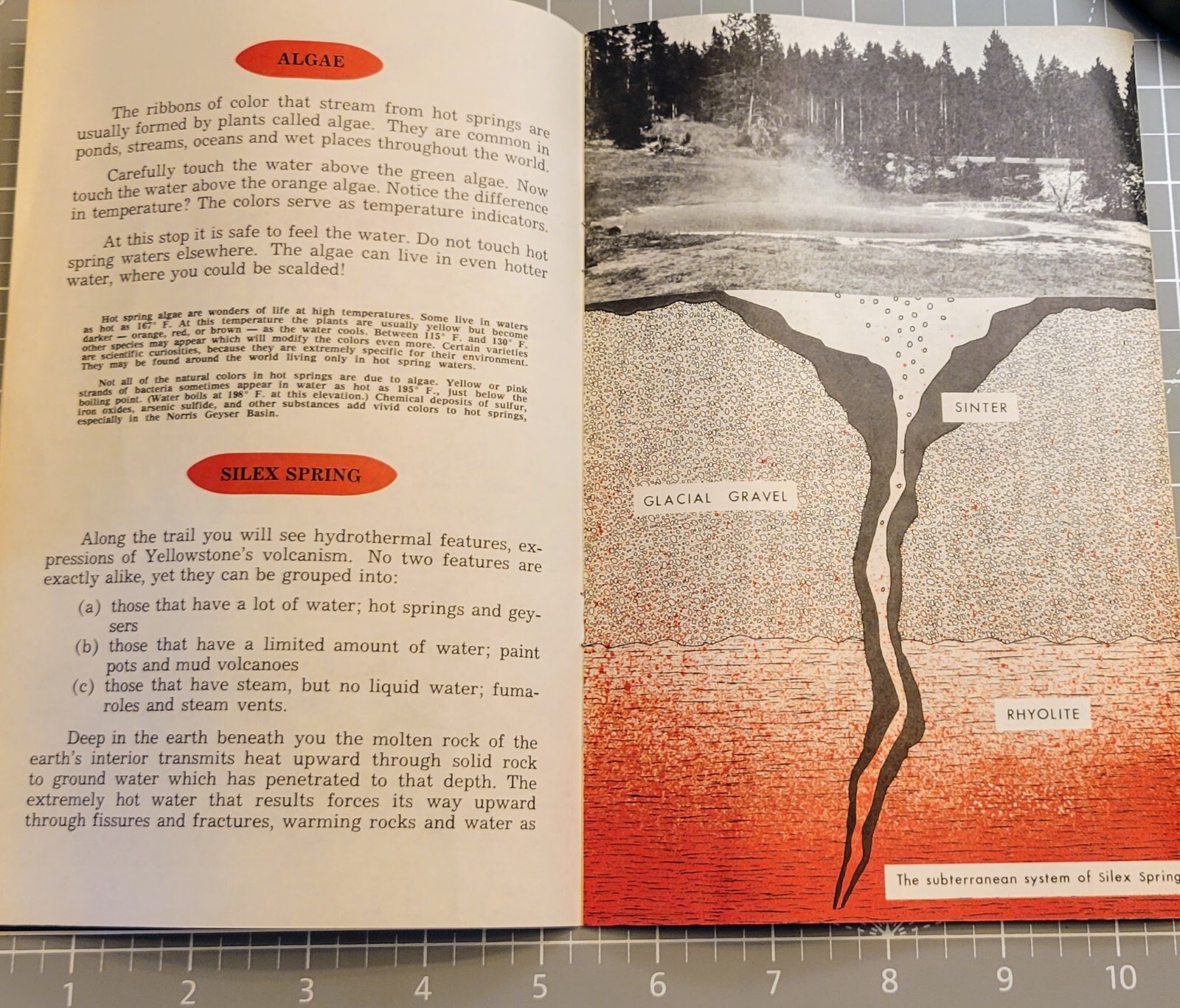 Vtg Bklt Fountain Paint Pot Nature Trail Yellowstone Nat’l Park 1983 Bill Chapma