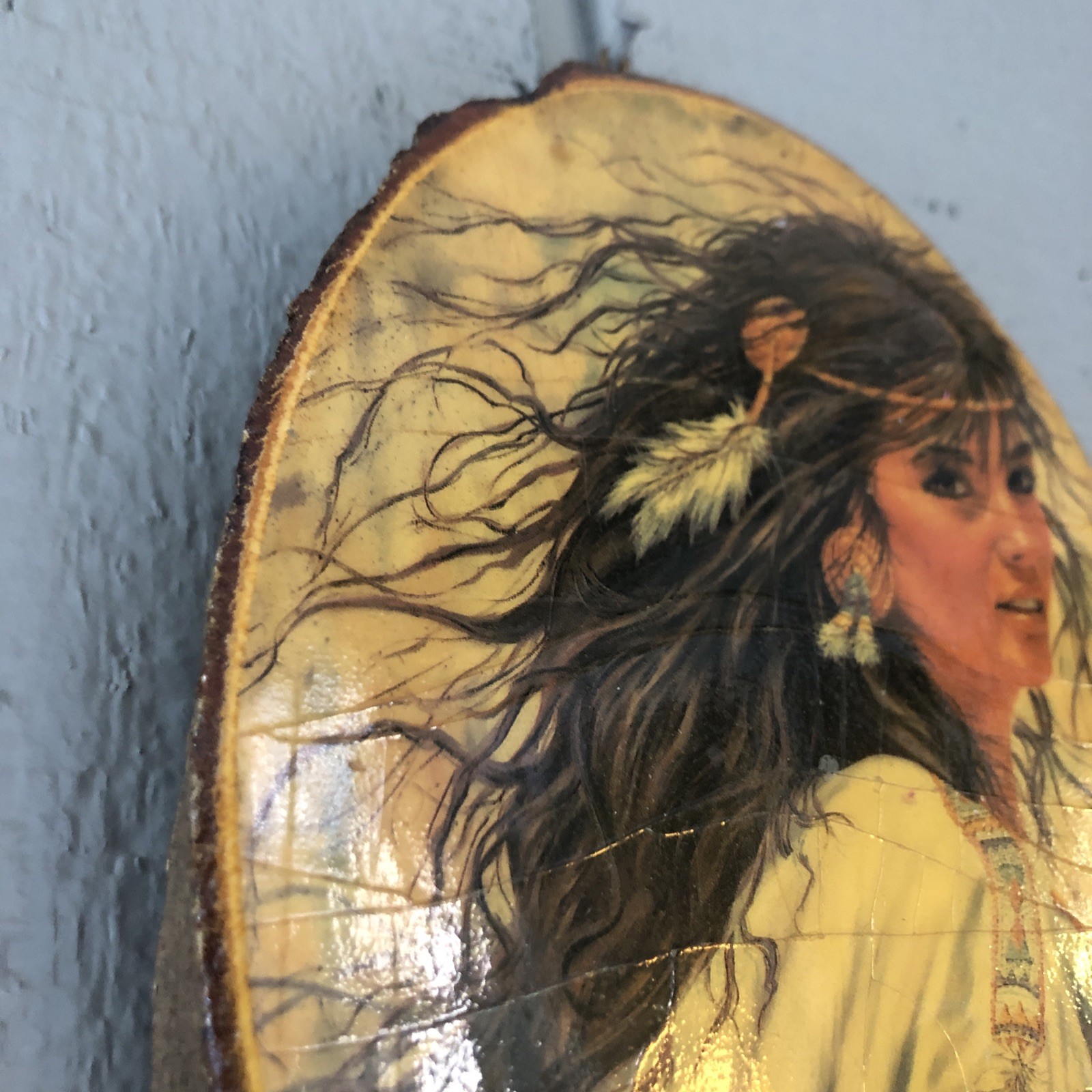 Indian Woman Yellowstone National Park USA Crackled Shellac Wall Hanging Wood
