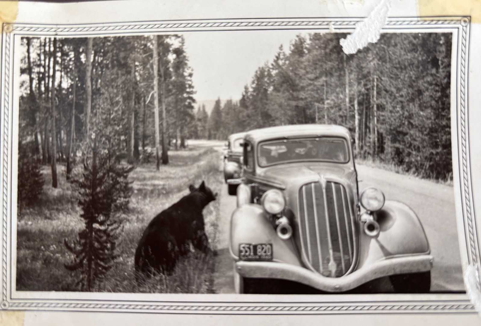 “My Western Trip” National Park 1940 Travel Journal with Postcards & Photos