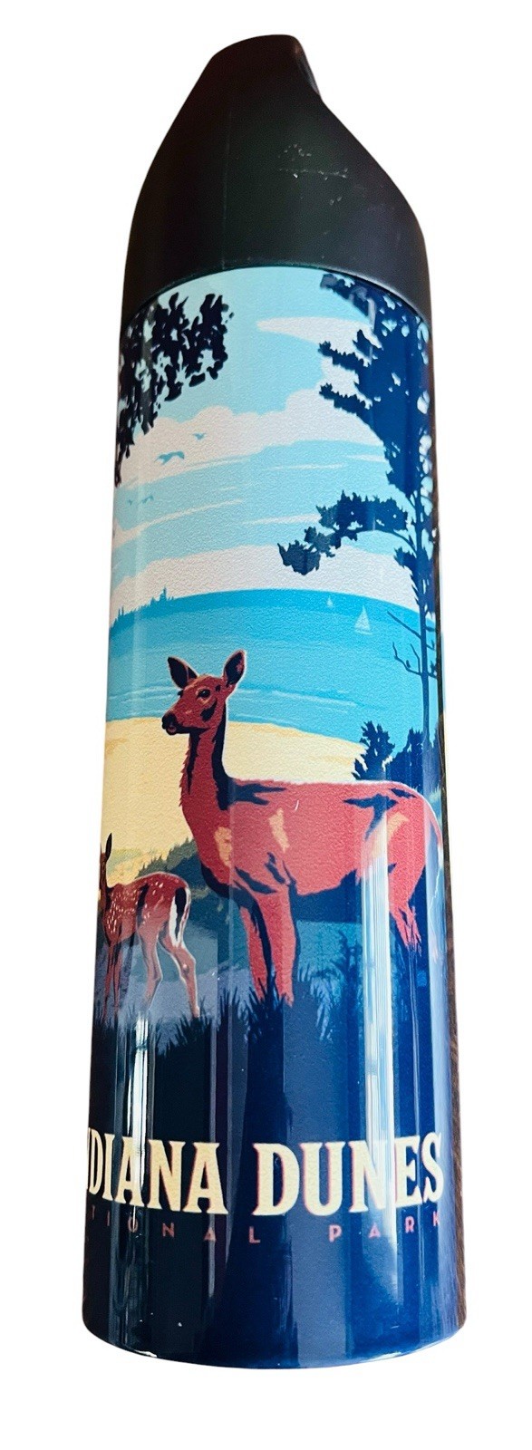 NEW Indiana Dunes National Park Travel Souvenir Thermos Stainless Steel 16oz !