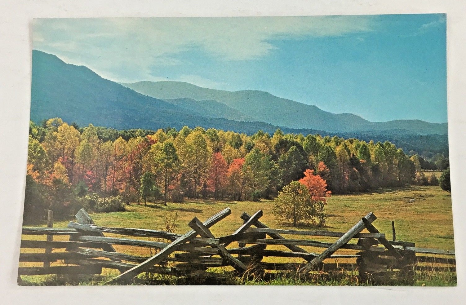 Vintage Postcard Cades Cove in October Great Smokey Mountains National Park