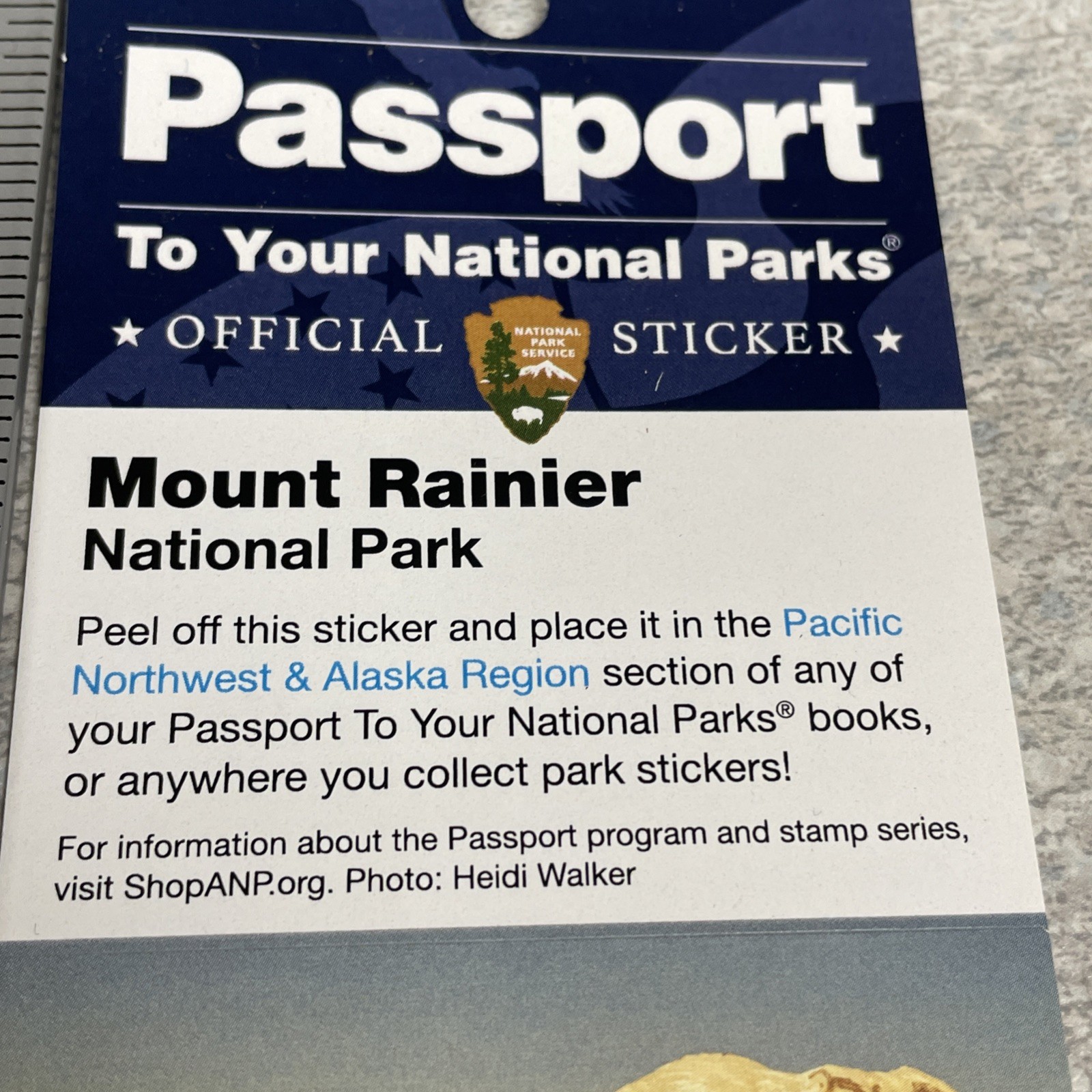 Mount Rainier National Park Passport Stamp – New