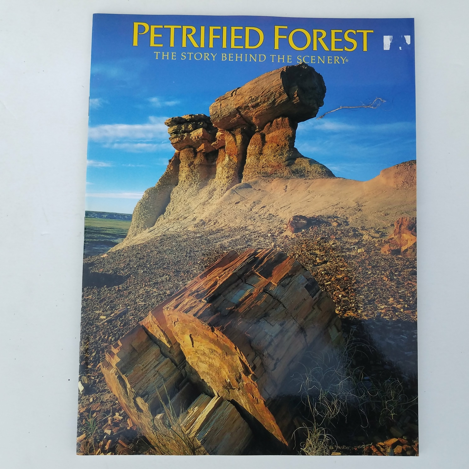 Petrified Forest – The Story Behind The Scenery 1985