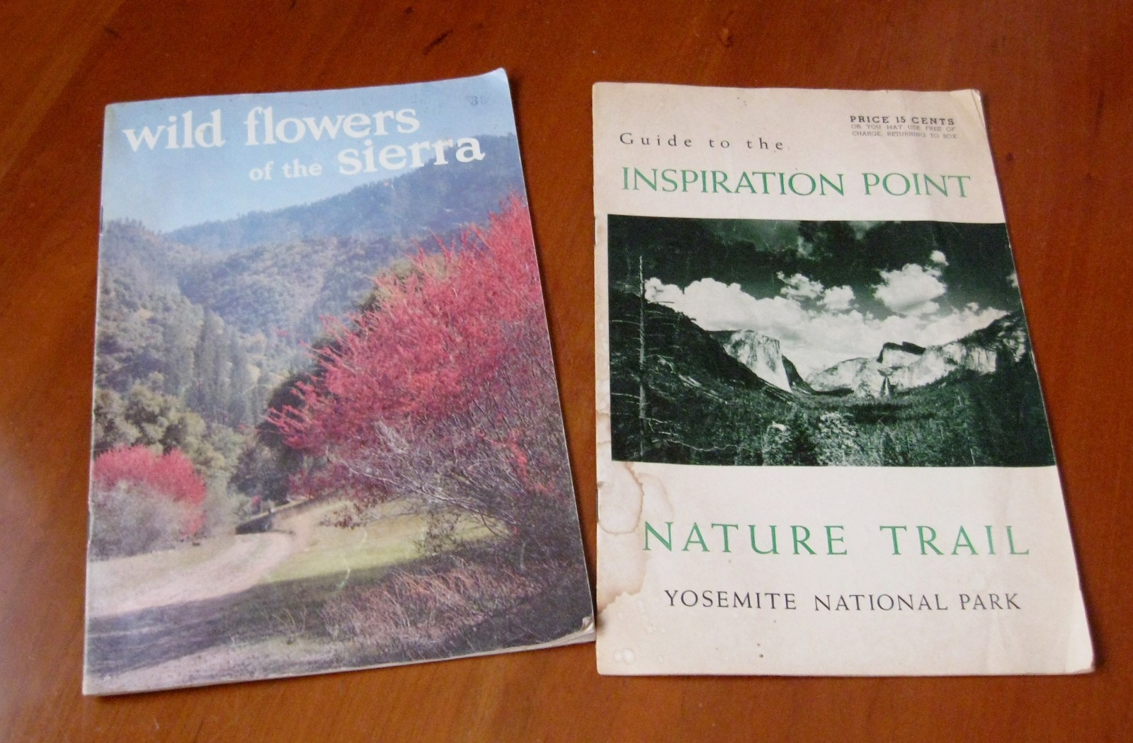 1950s Inspiration Point Yosemite National Park Wild Flowers of the Sierra USA