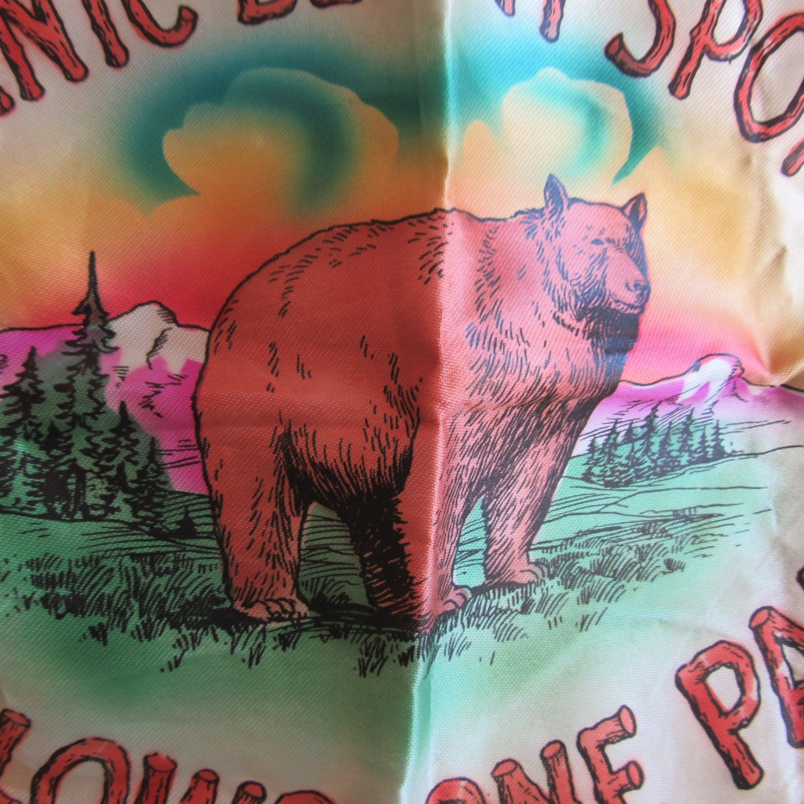 Vintage Souvenir Yellowstone National Park Pillow Cover Case Bear Geyser Fringe