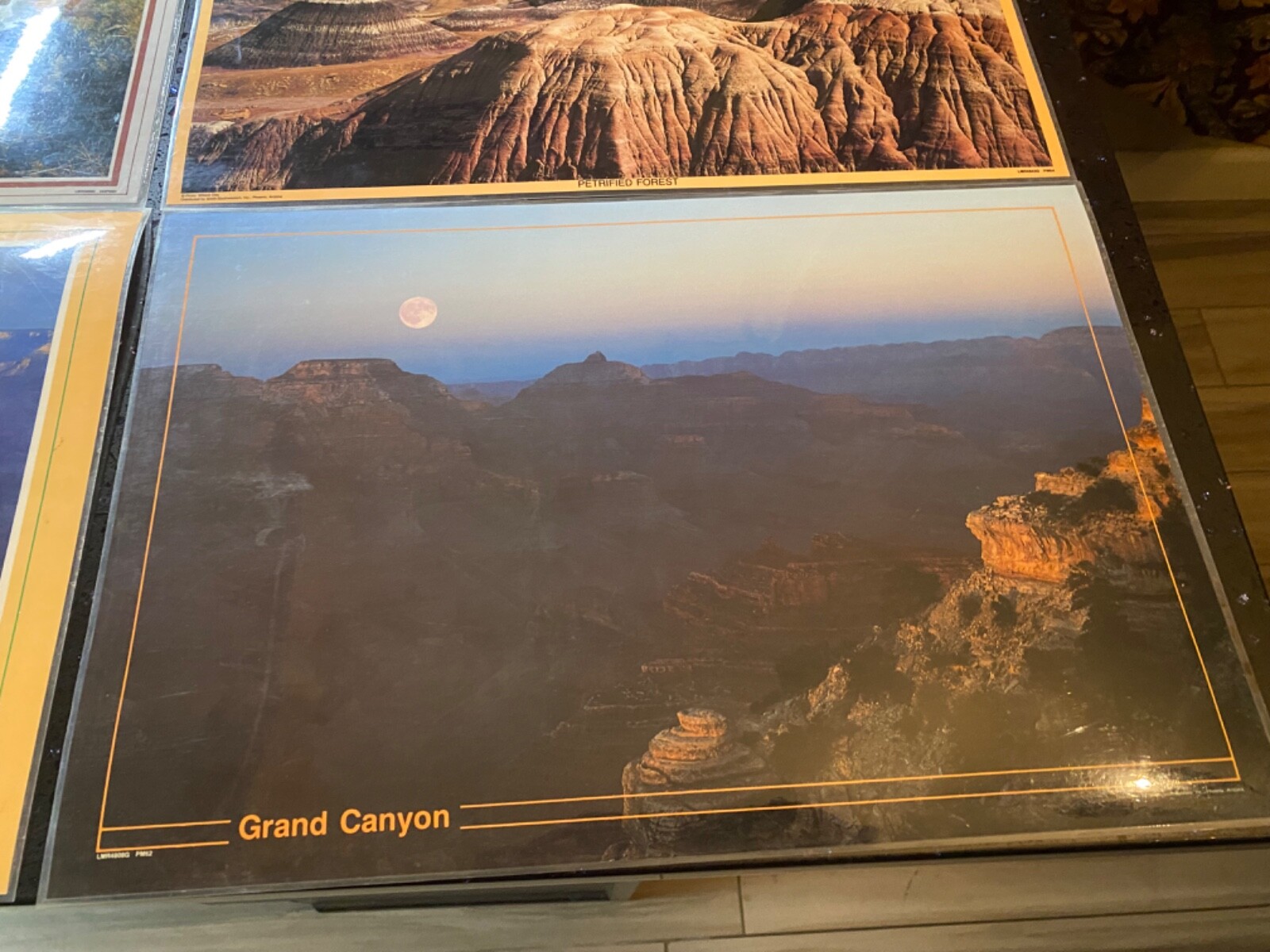 lot of 4 Grand Canyon Painted desert Petrified forest National Parks table mats