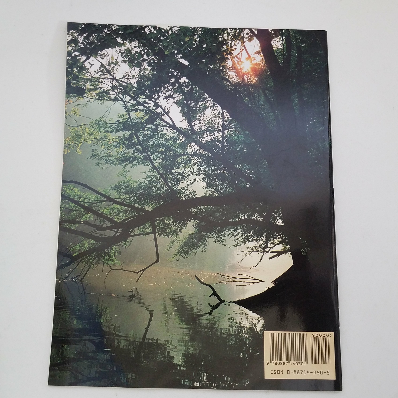 Mammoth Cave – The Story Behind The Scenery by Joy Medley Lyons 1993 0887140505