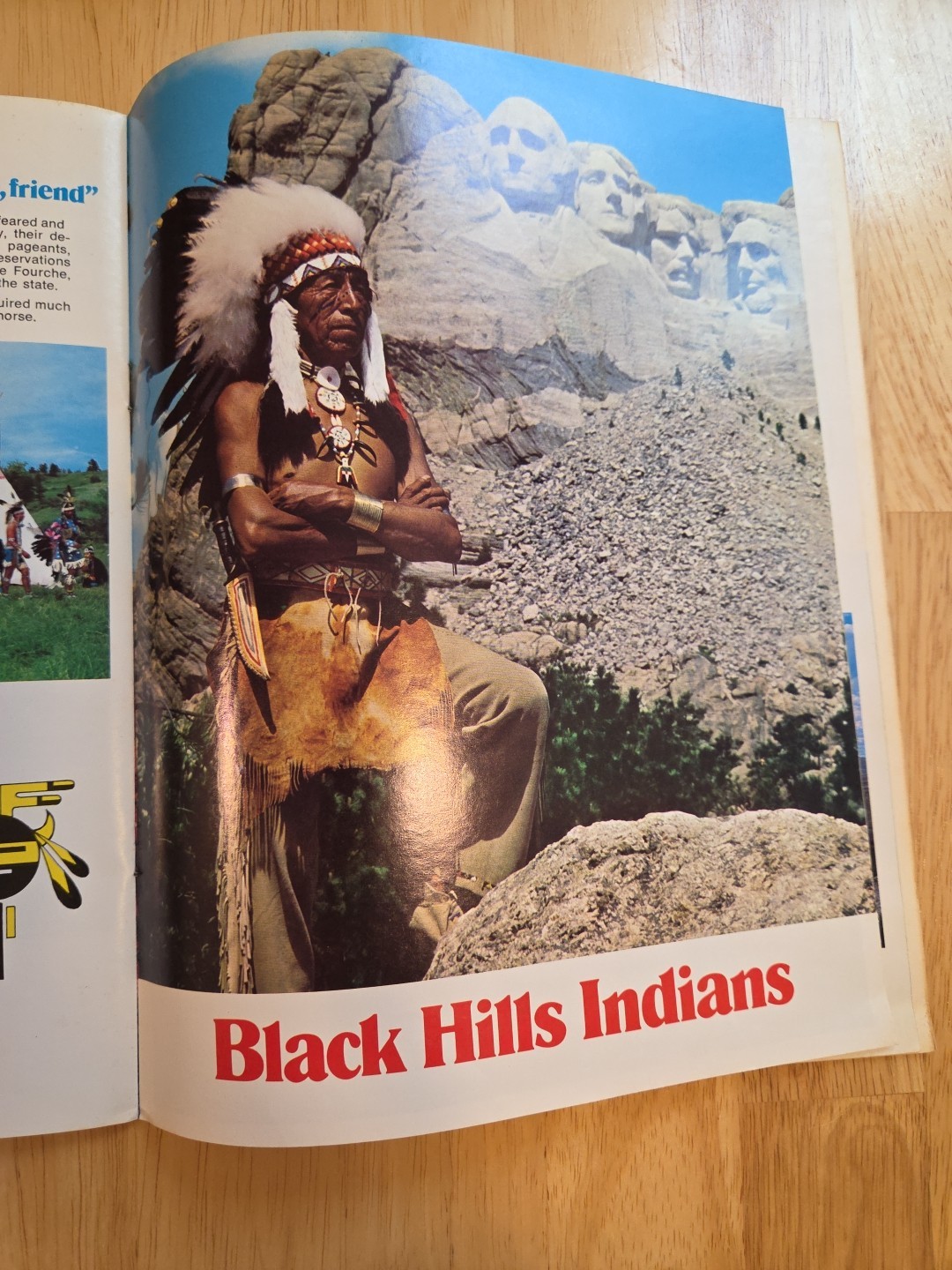 Mount Rushmore And The Black Hills Scenic Badlands Souvenir Picture Book