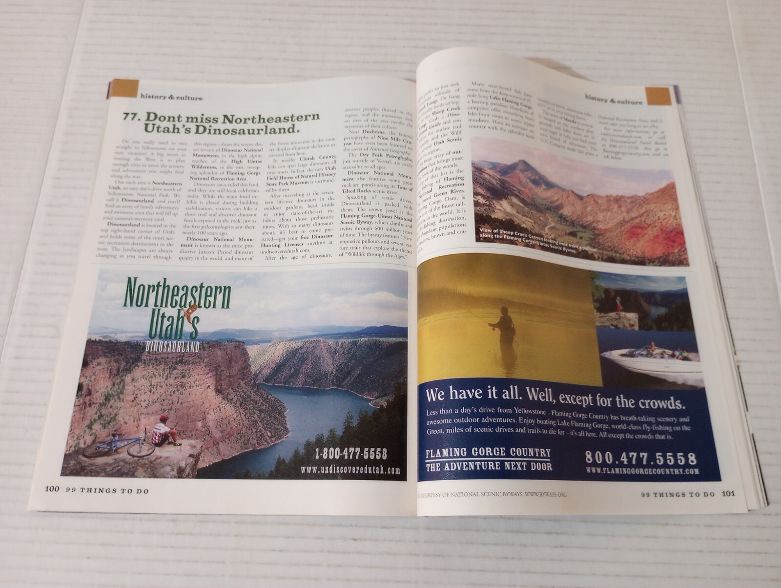 99 Things To Do In Yellowstone Country 2010 Vacation Guide Travel Brochure