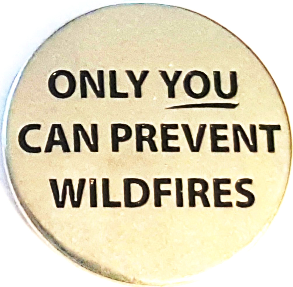 SMOKEY BEAR – ONLY YOU CAN PREVENT WILDFIRES – NATIONAL PARK TYPE TOKEN