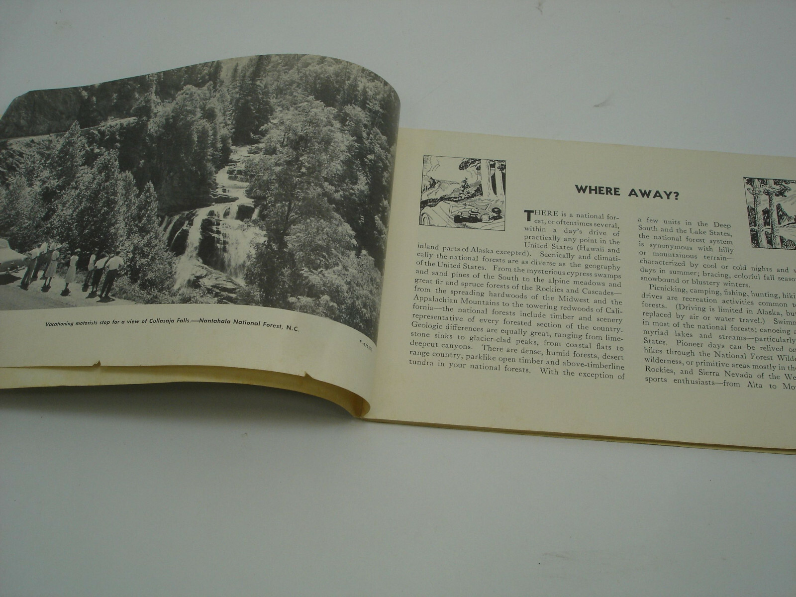 1960 NATIONAL FOREST VACATION Book Parks by State Scenic Drives Picnics Guide
